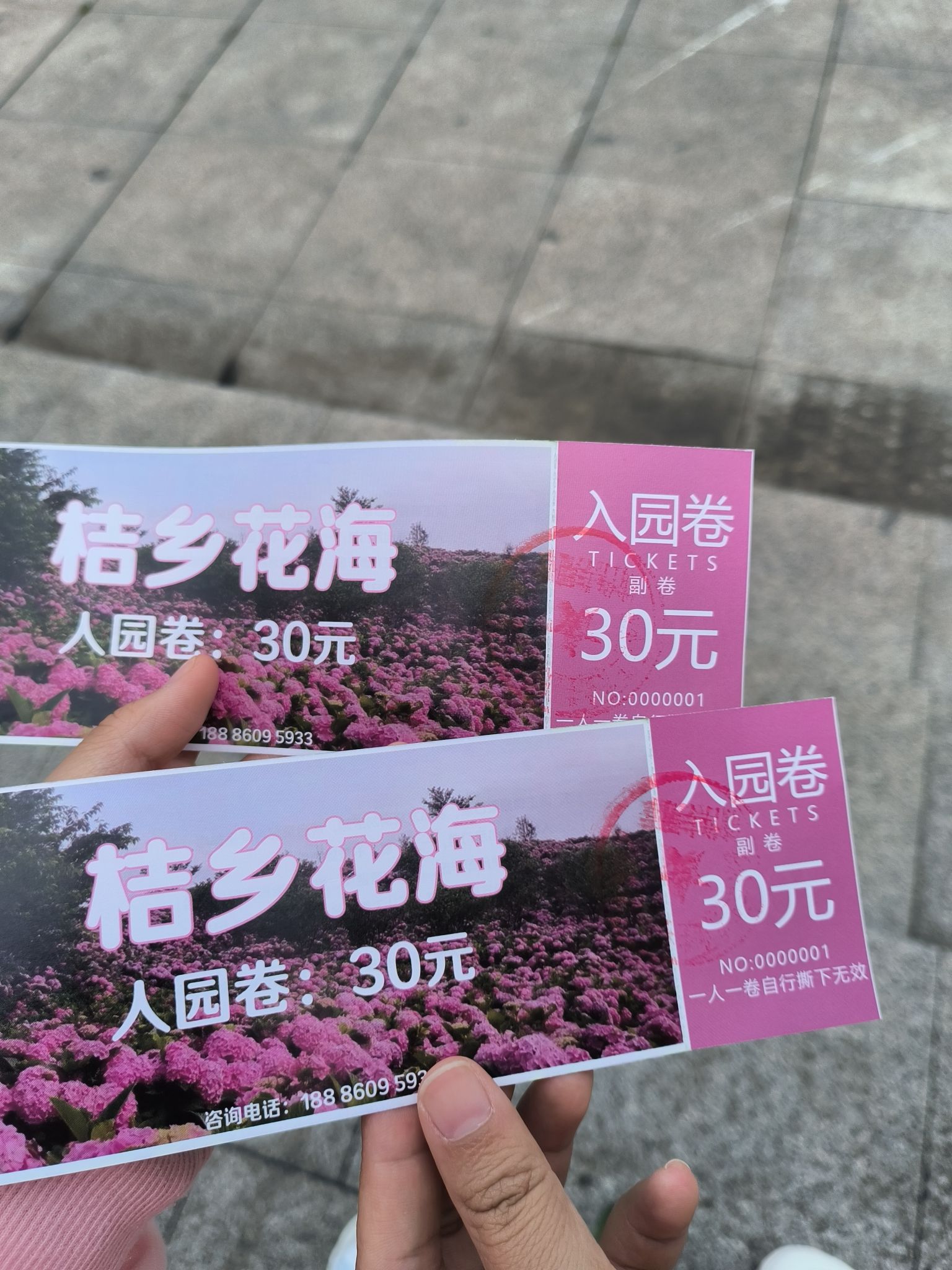 大河堡凉都花海旅行图片 3