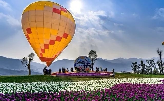 大河堡凉都花海旅行图片 2