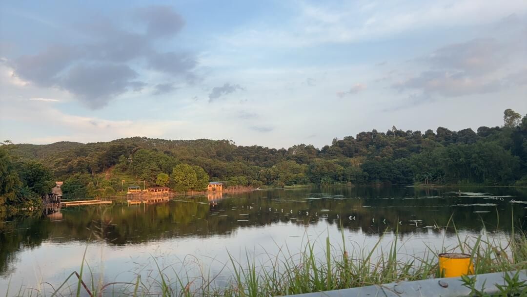 黄板塘钓鱼钓虾场