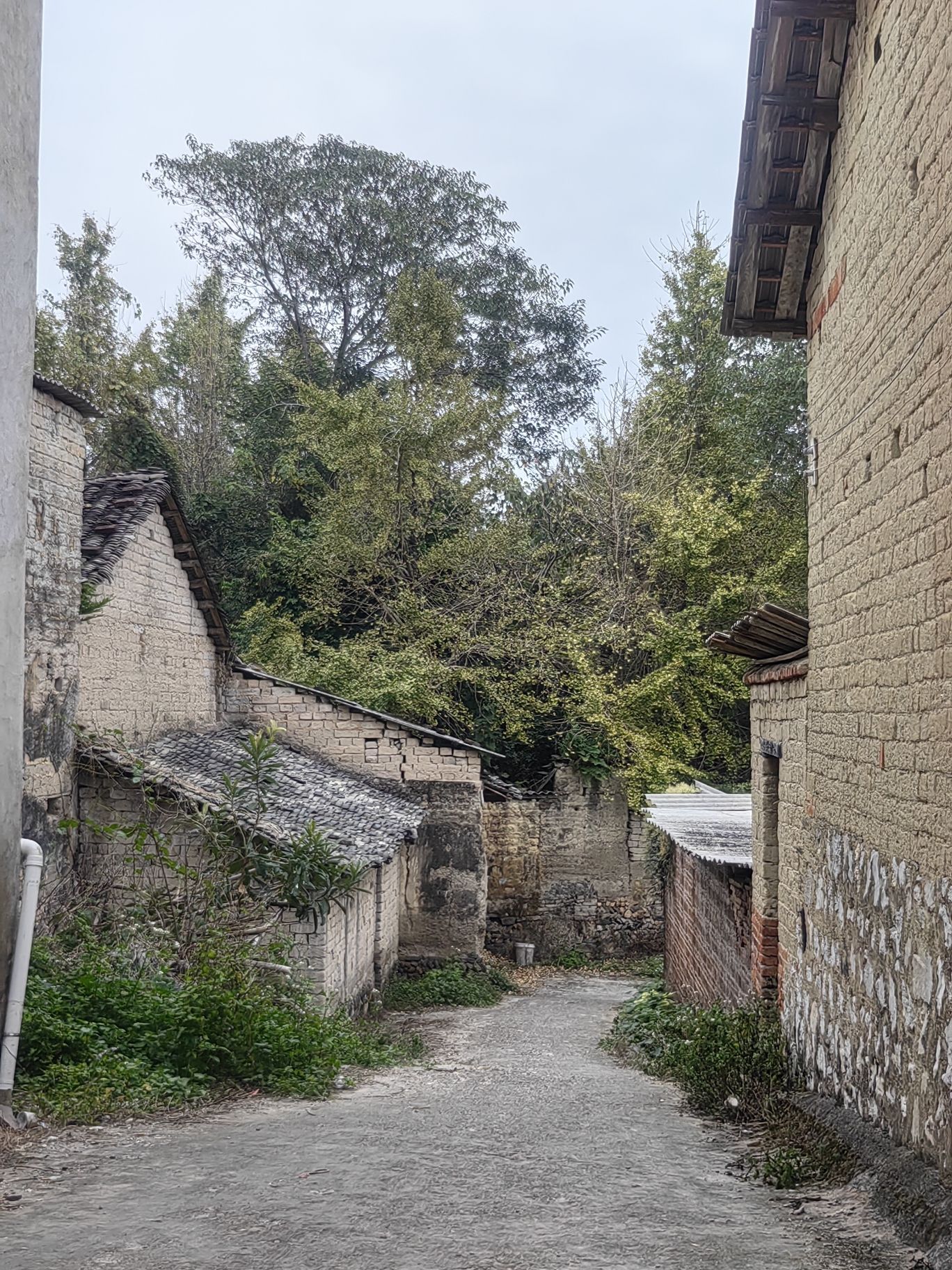 熊村古镇旅行图片 2