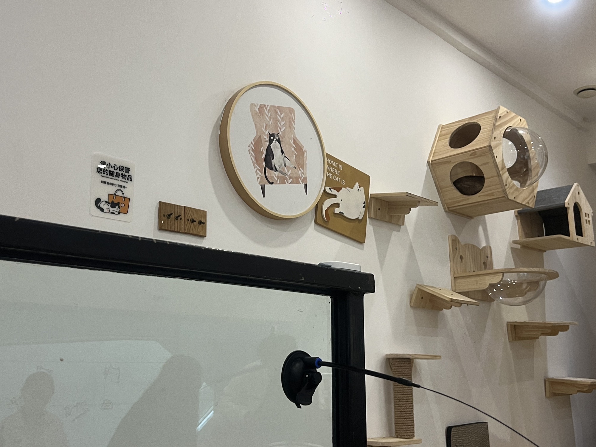 Gallery 2