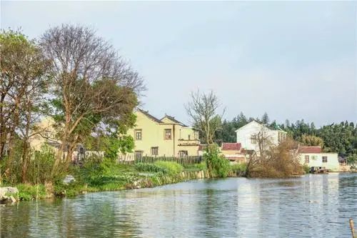洞林湖国际旅游度假区旅行图片 3