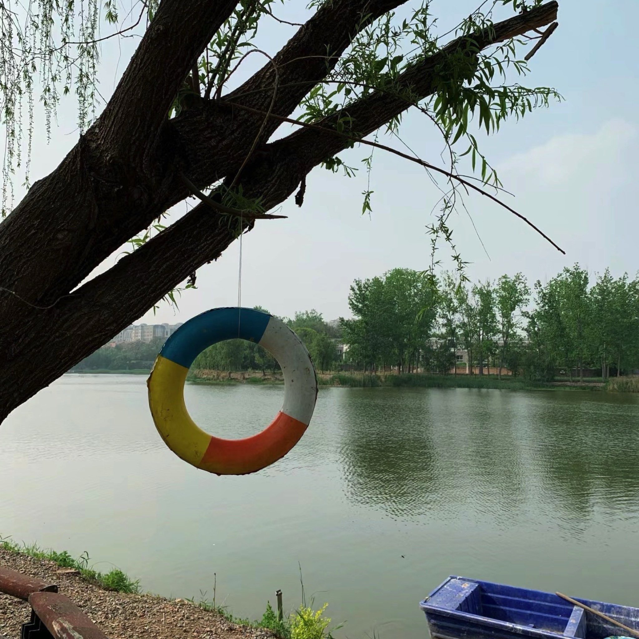 洞林湖国际旅游度假区旅行图片 3