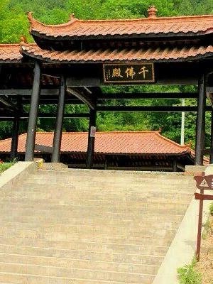 千佛山景区旅行图片 3