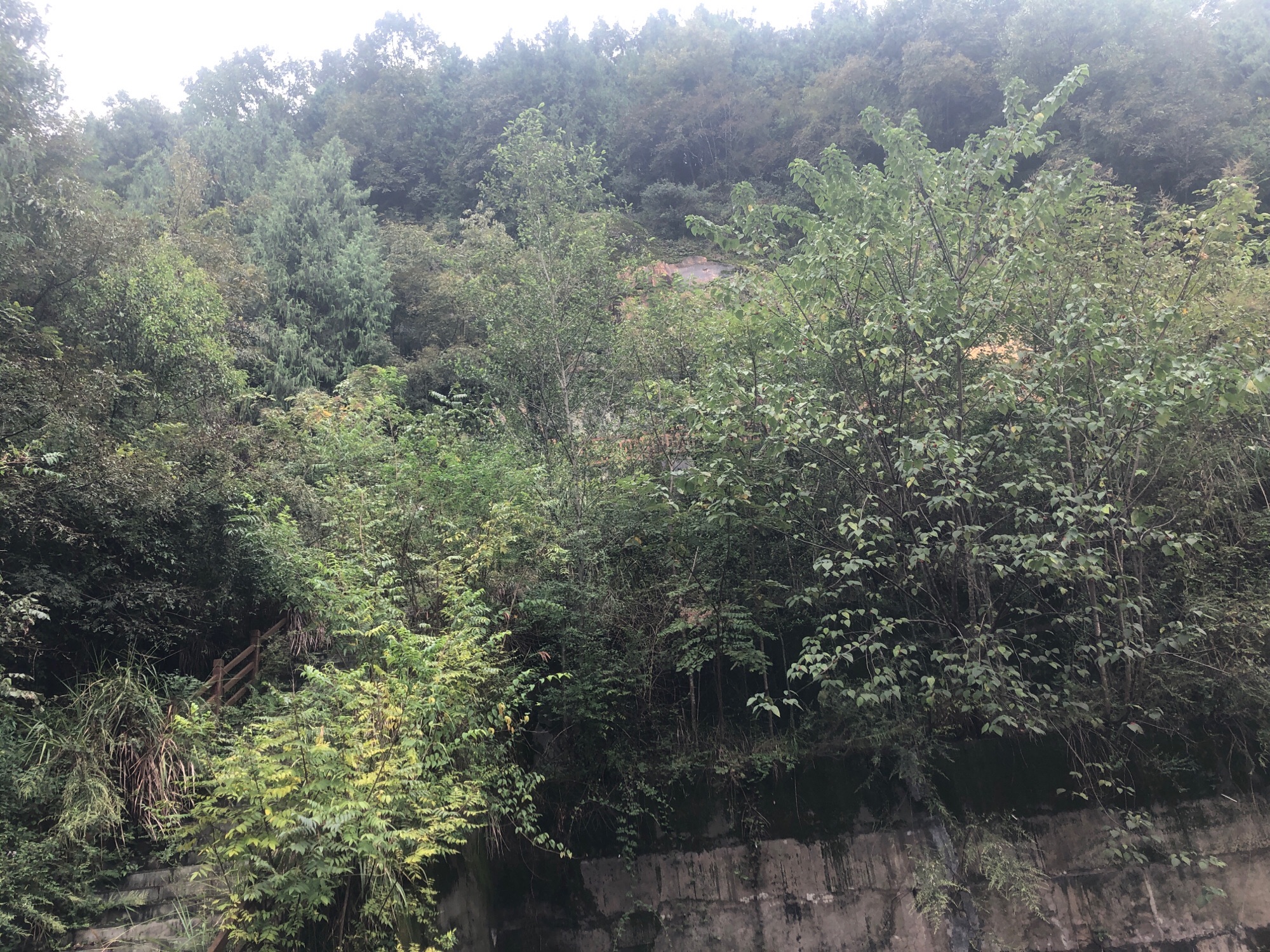 千佛山景区旅行图片 1