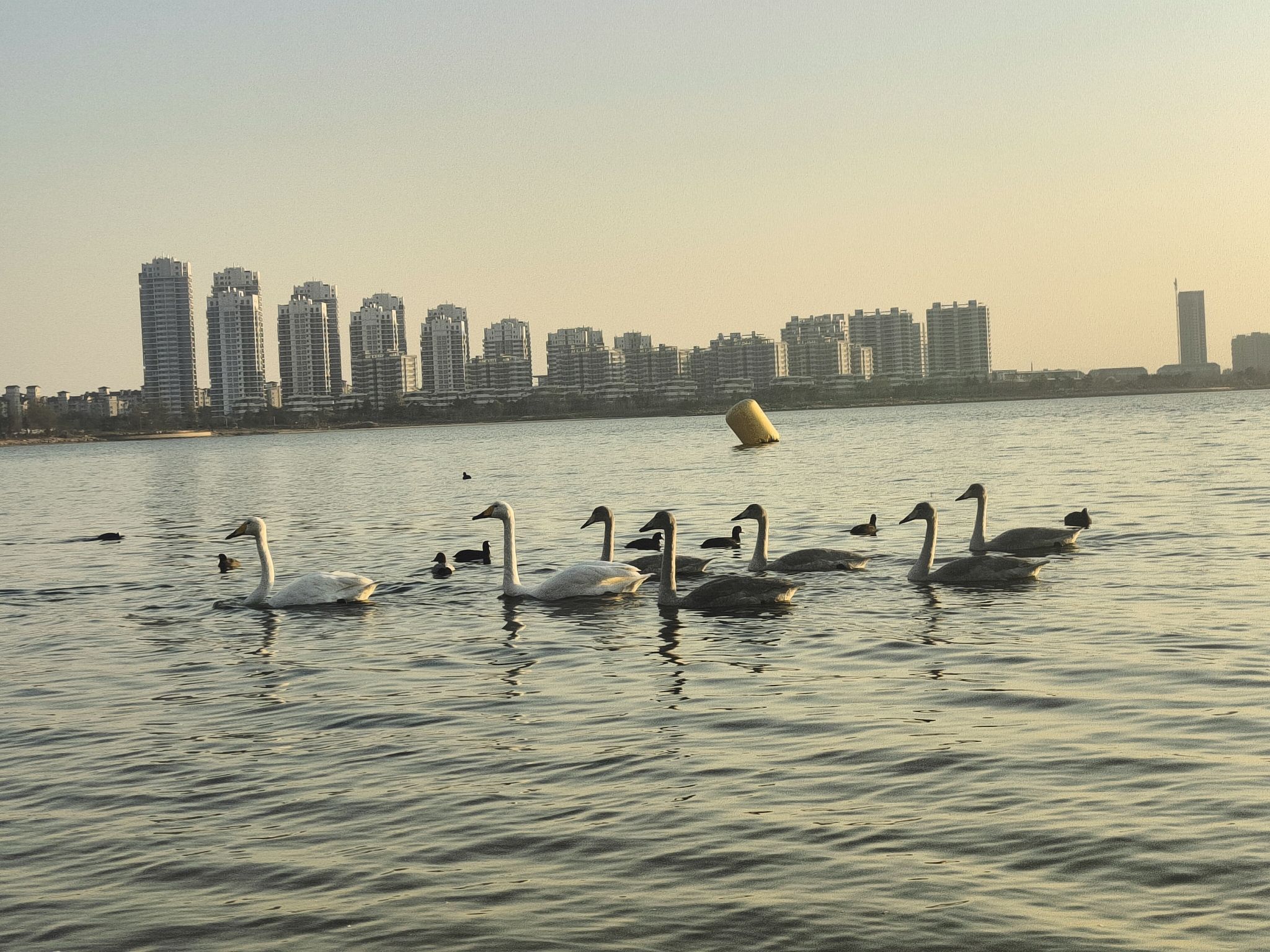 樱花湖体育公园广场旅行图片 3