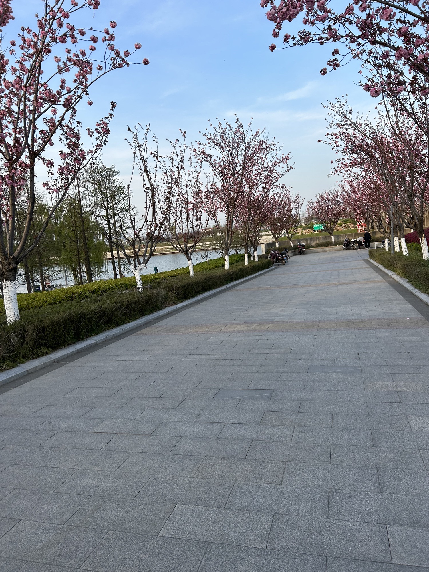 滁河湾湿地公园旅行图片 2