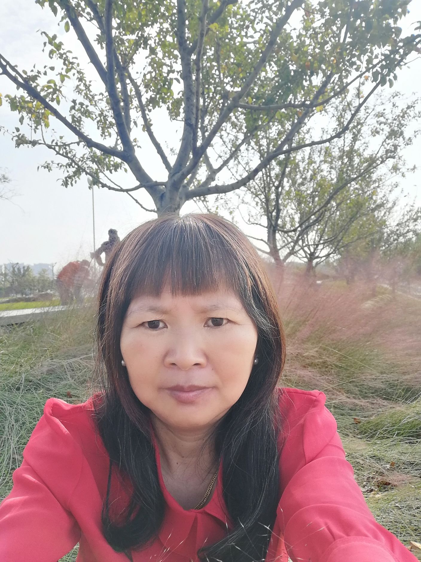 滁河湾湿地公园旅行图片 2
