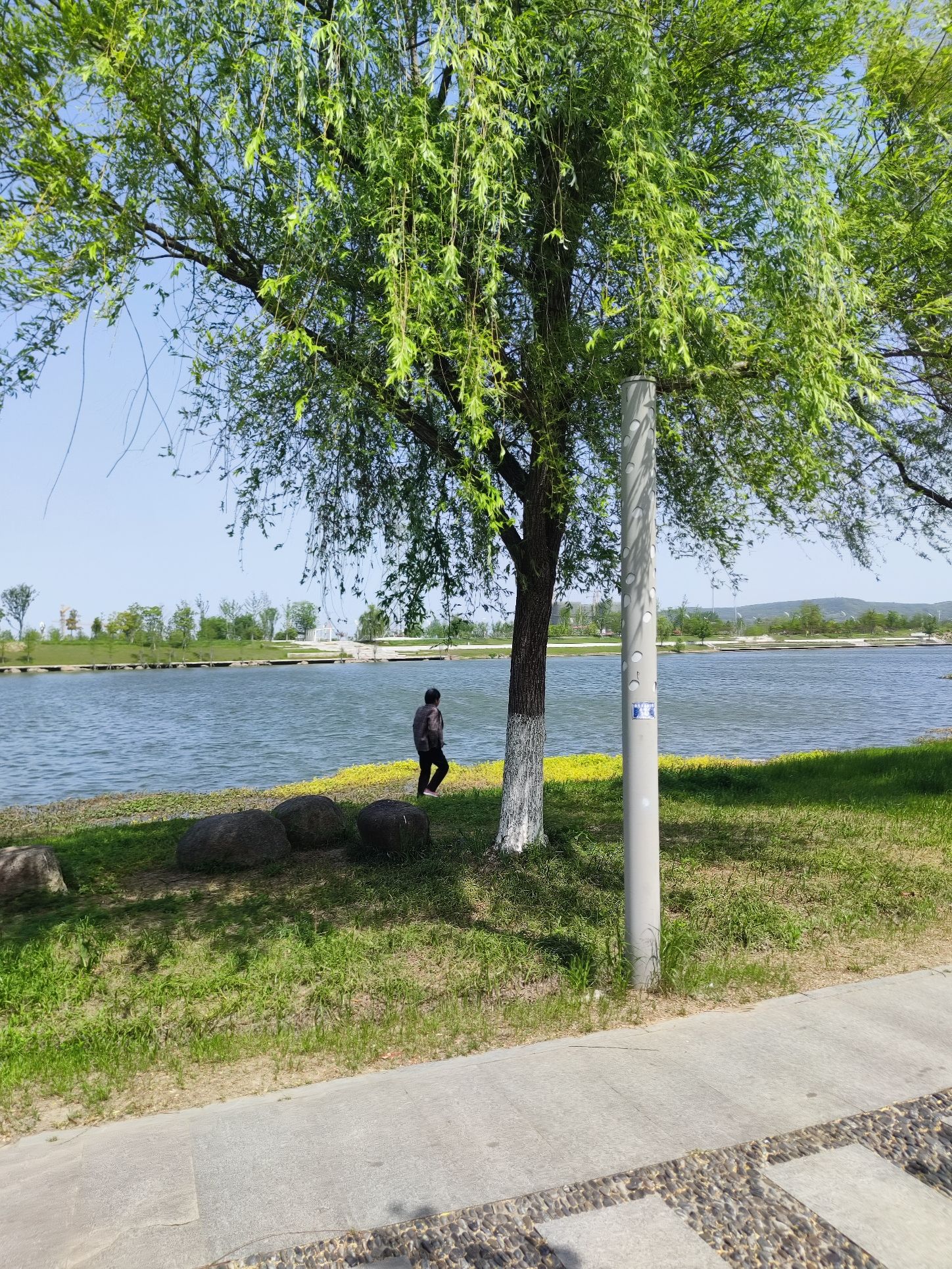 滁河湾湿地公园旅行图片 2