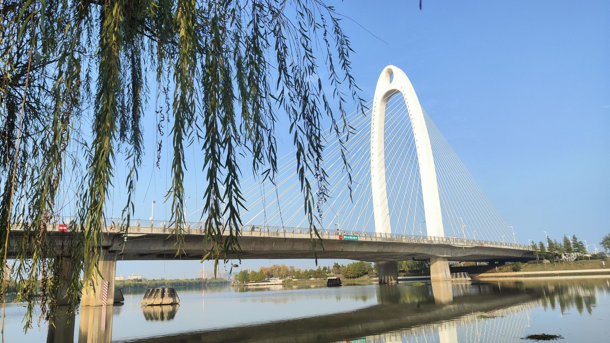 滁河湾湿地公园旅行图片 1