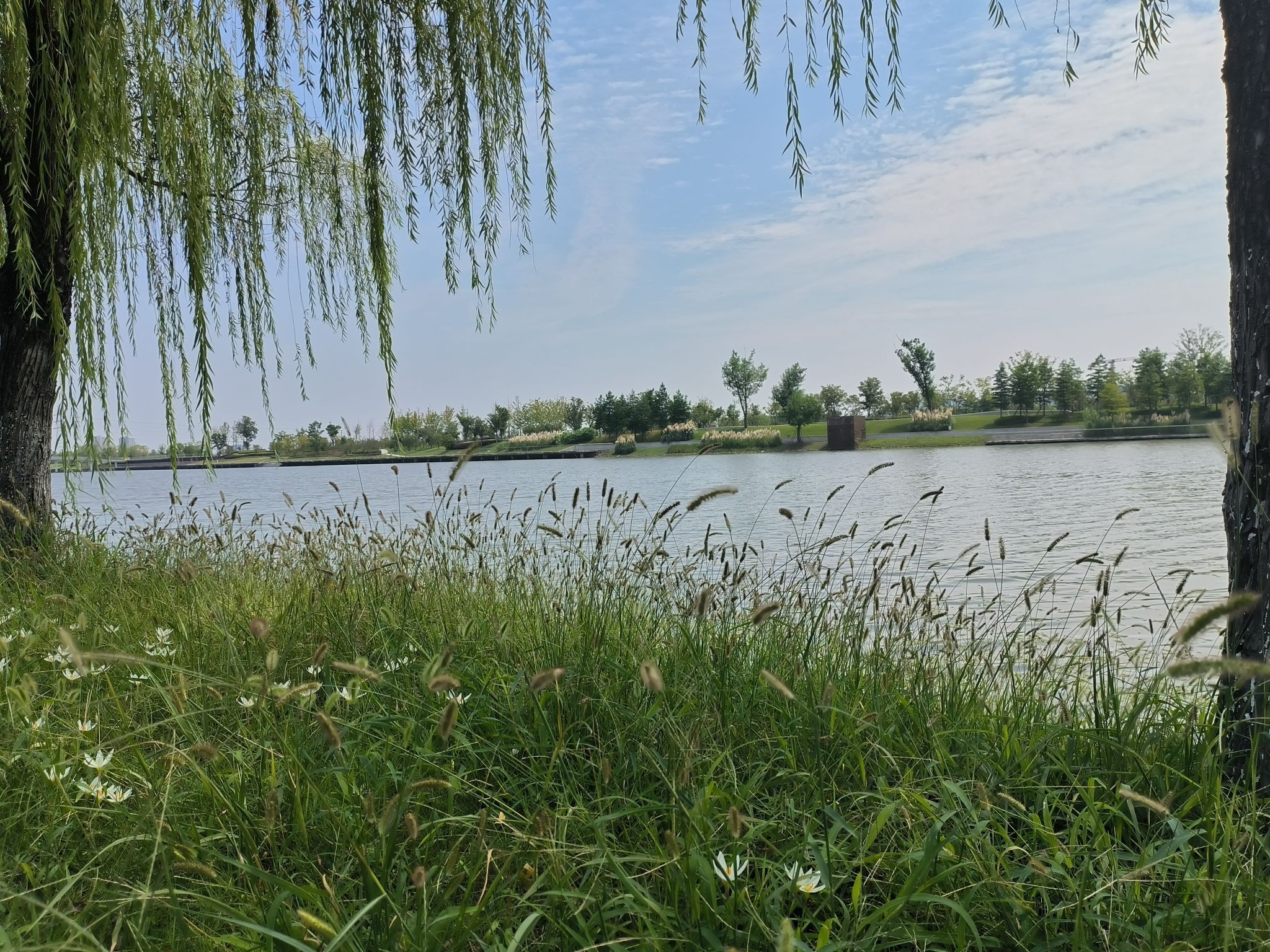 滁河湾湿地公园旅行图片 2