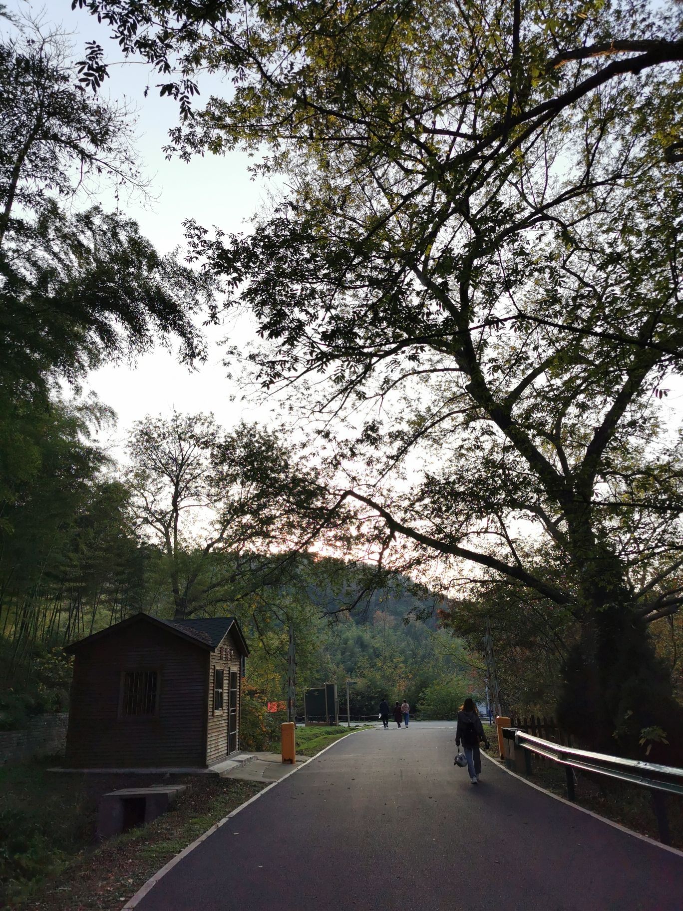 白母园景区旅行图片 2