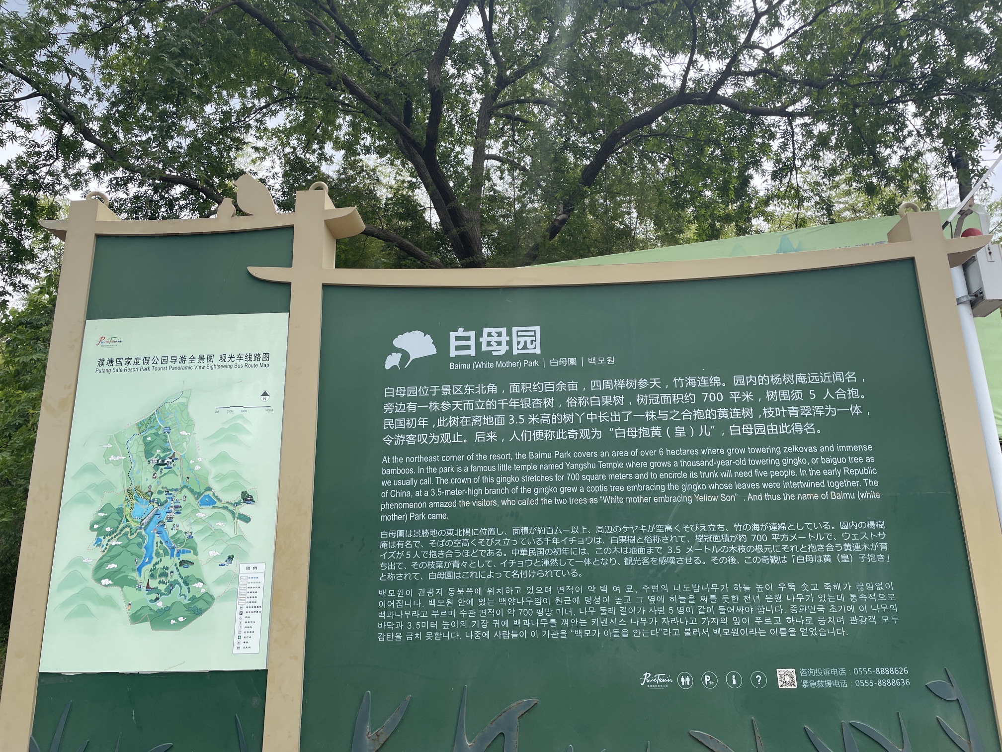 白母园景区