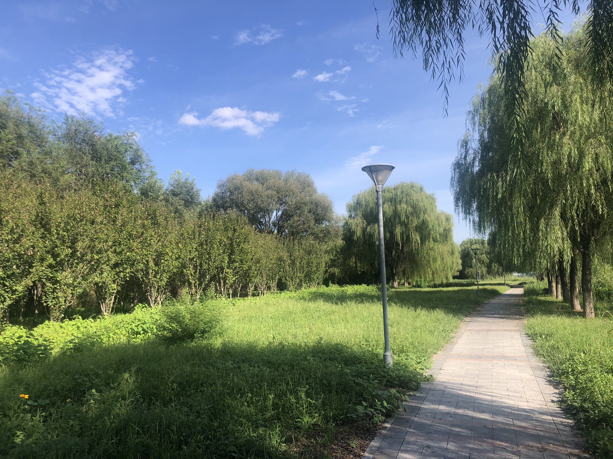 潮白河国家湿地公园旅行图片 2
