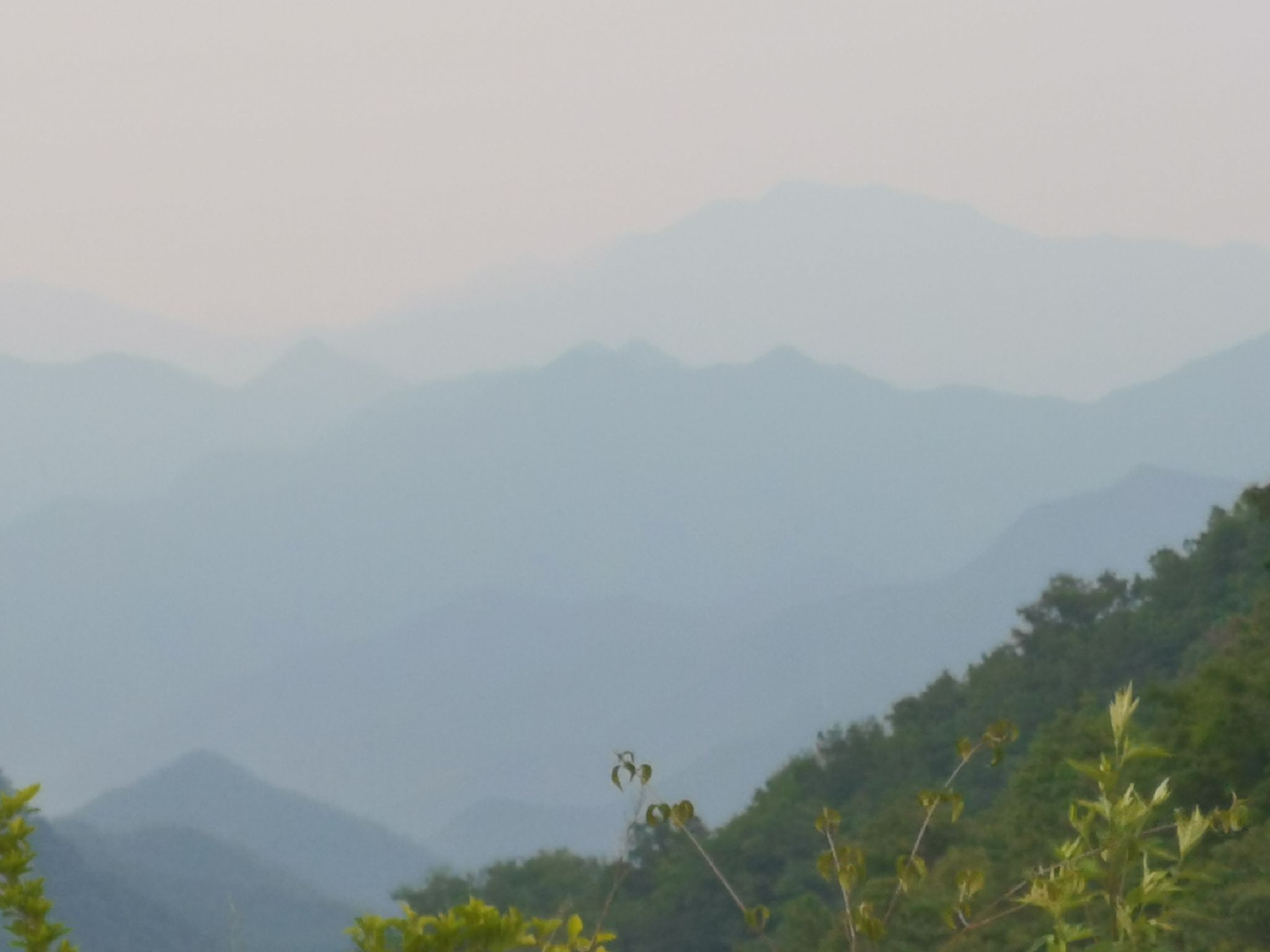 杨山风景区旅行图片 1