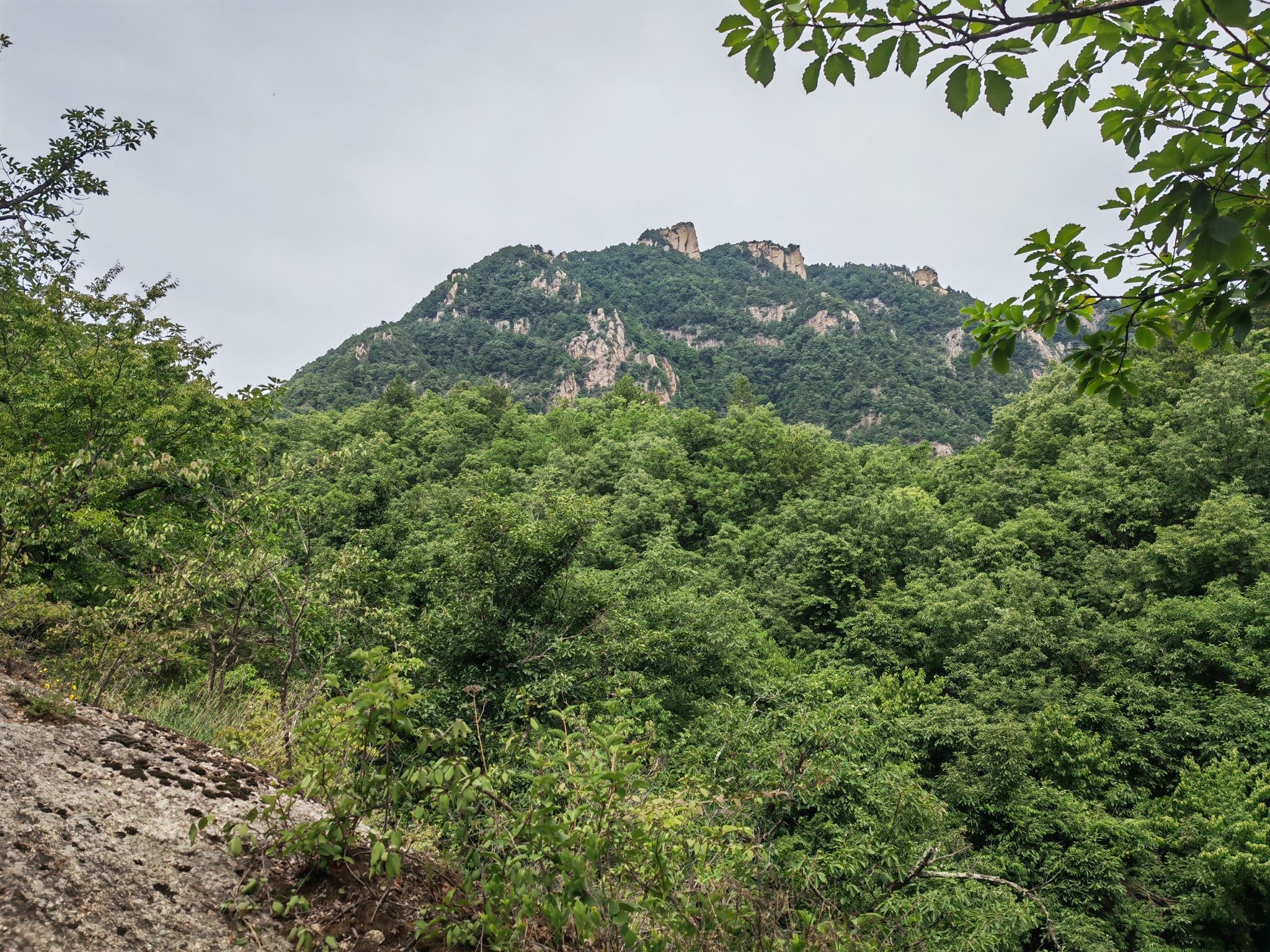 杨山风景区旅行图片 2