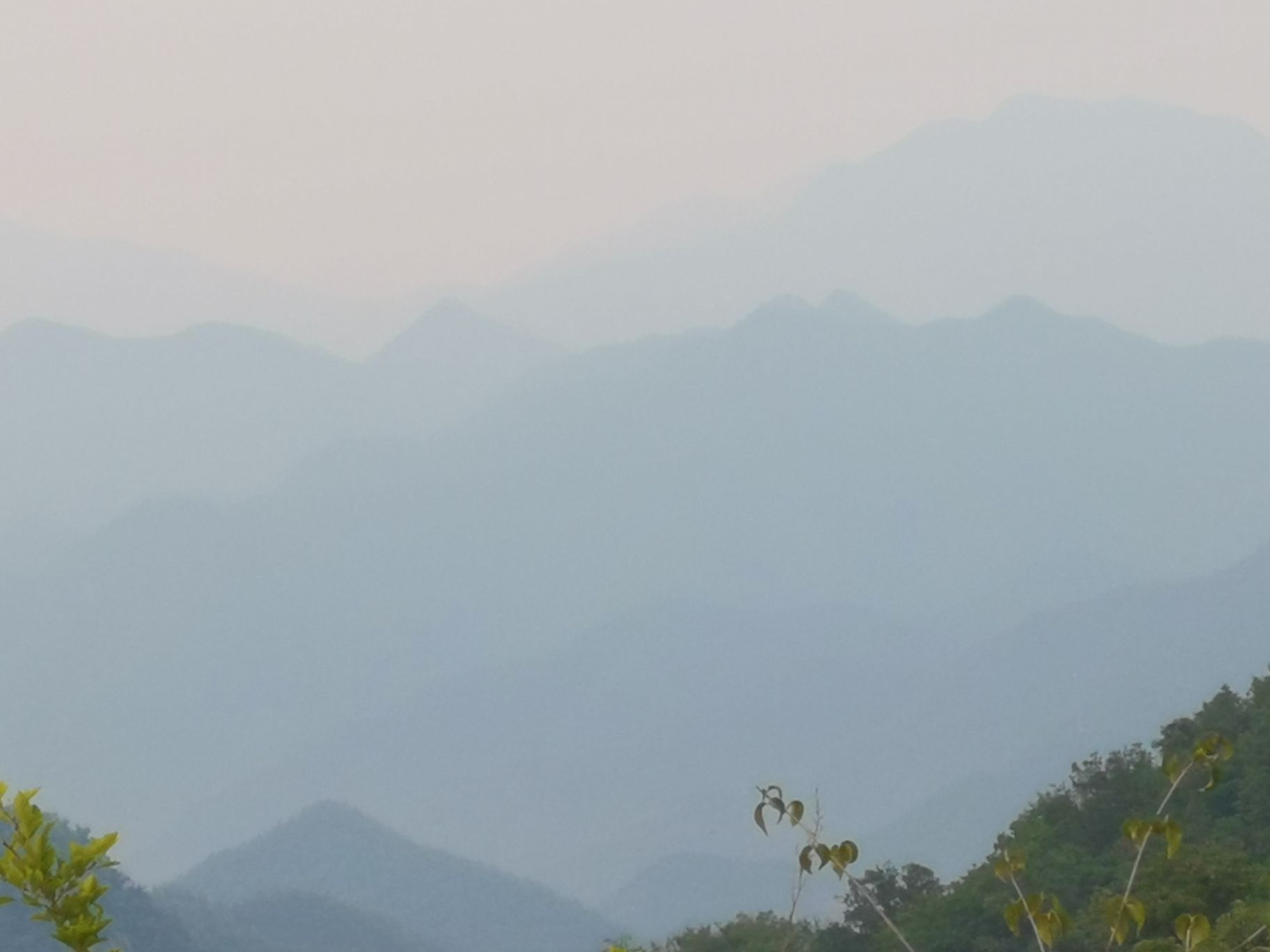 杨山风景区旅行图片 2