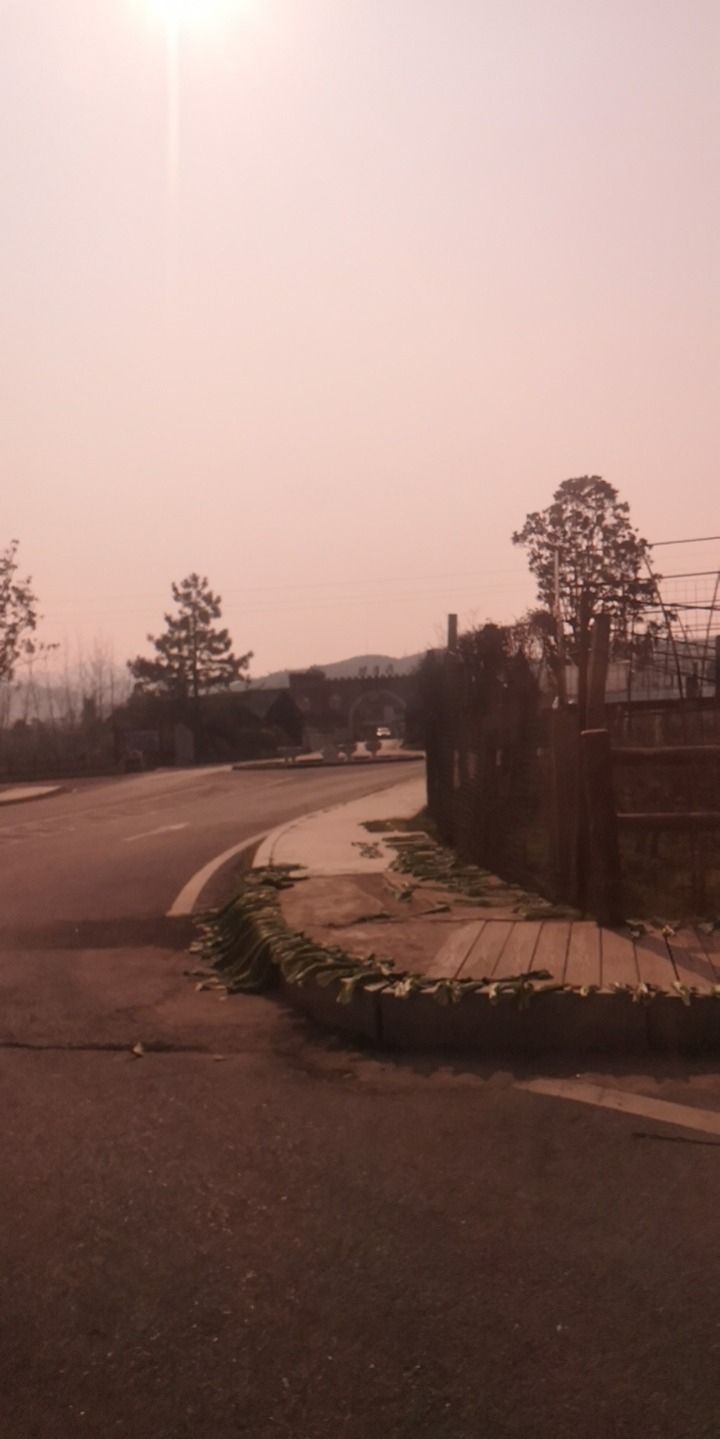 双月湾湿地公园旅行图片 3