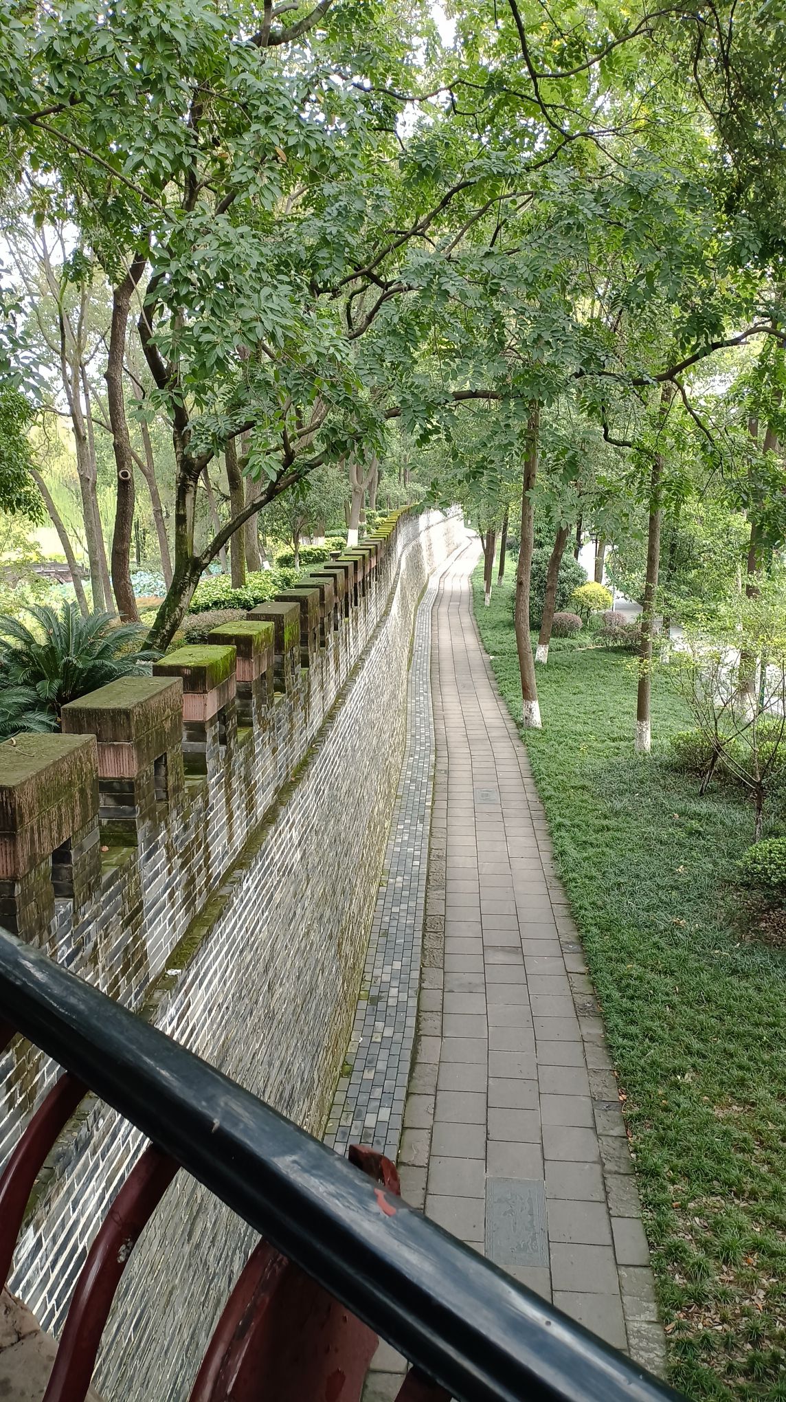 新都区中央森林公园旅行图片 3