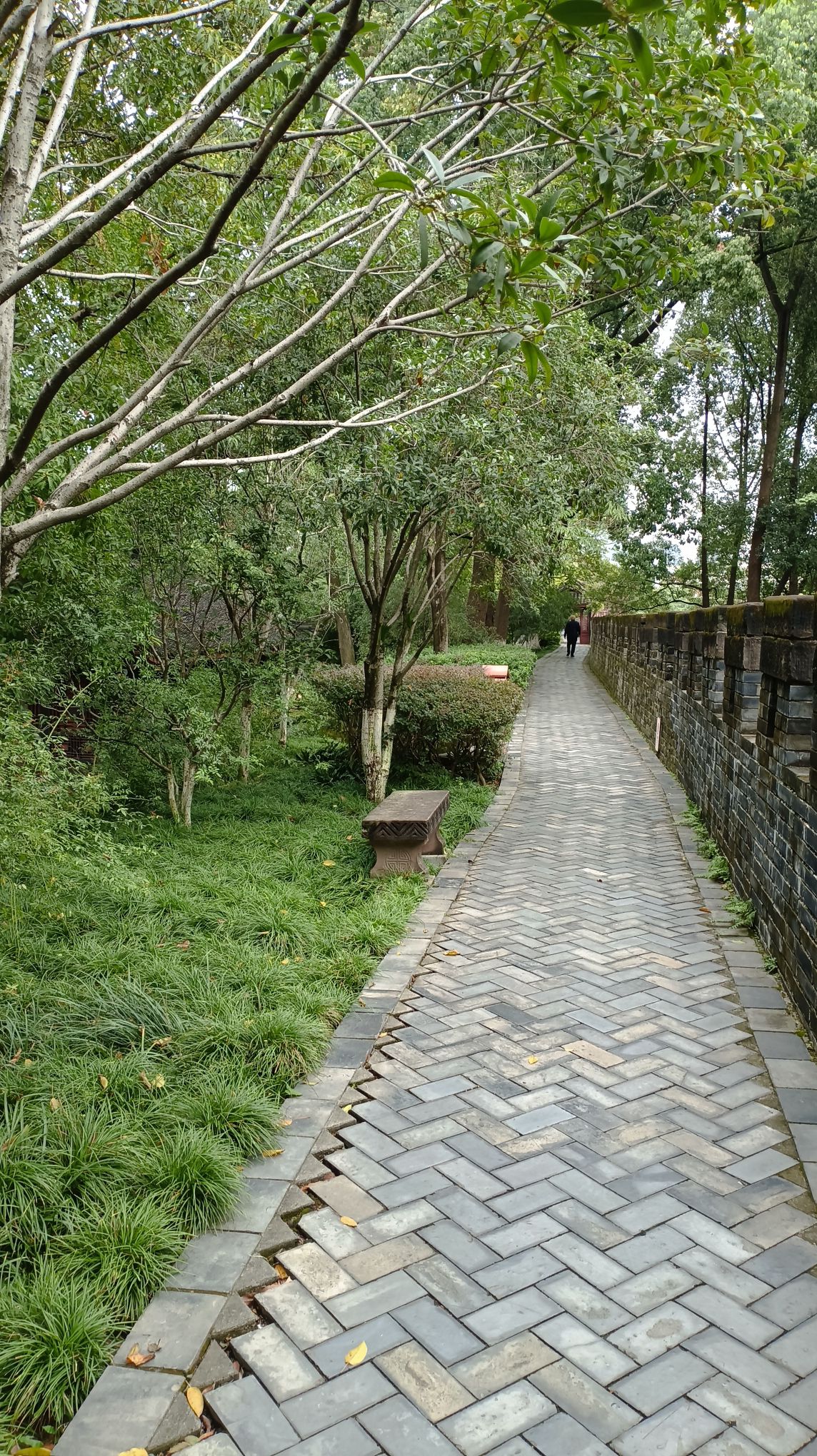 新都区中央森林公园旅行图片 2