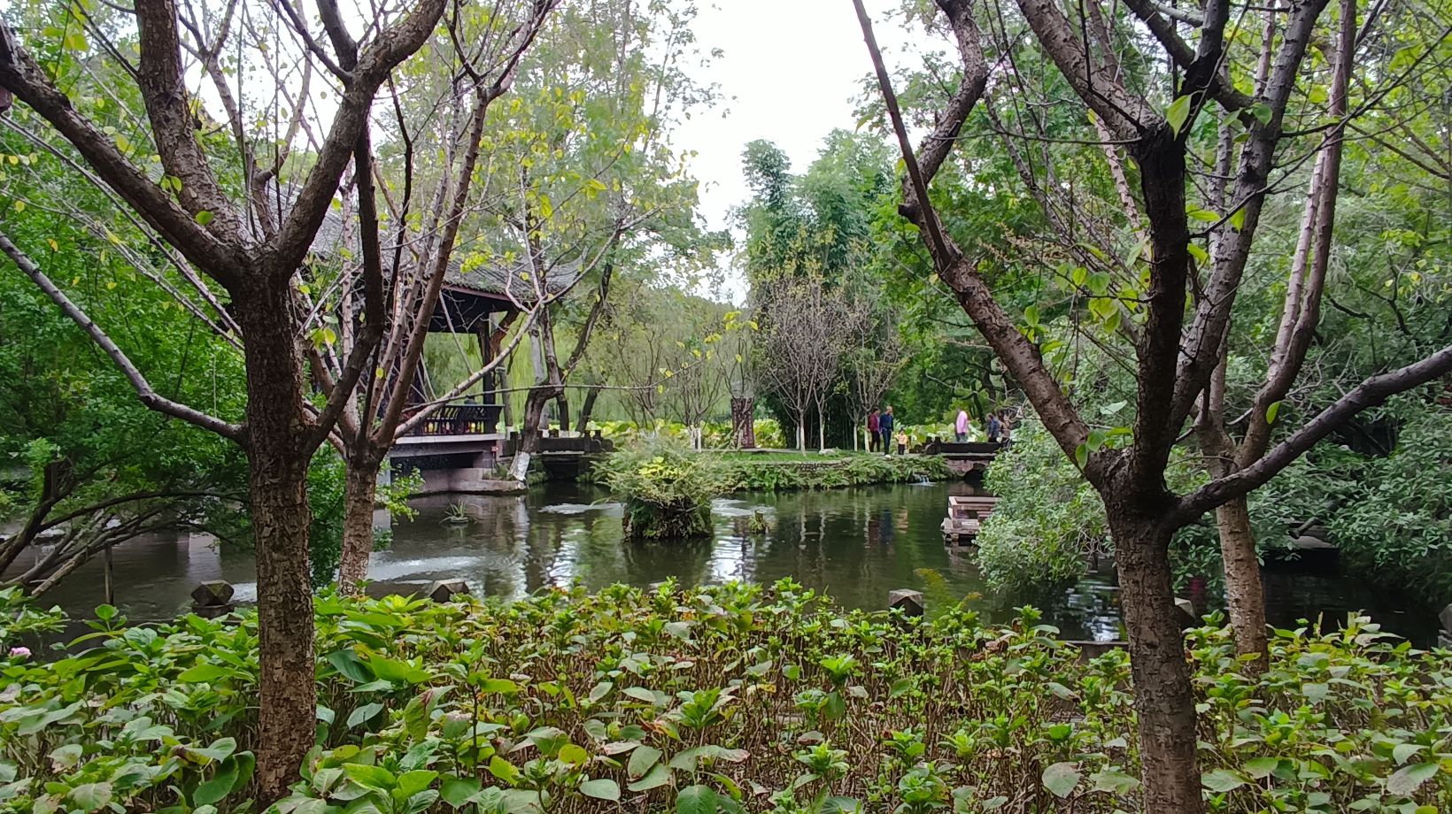 新都区中央森林公园旅行图片 1