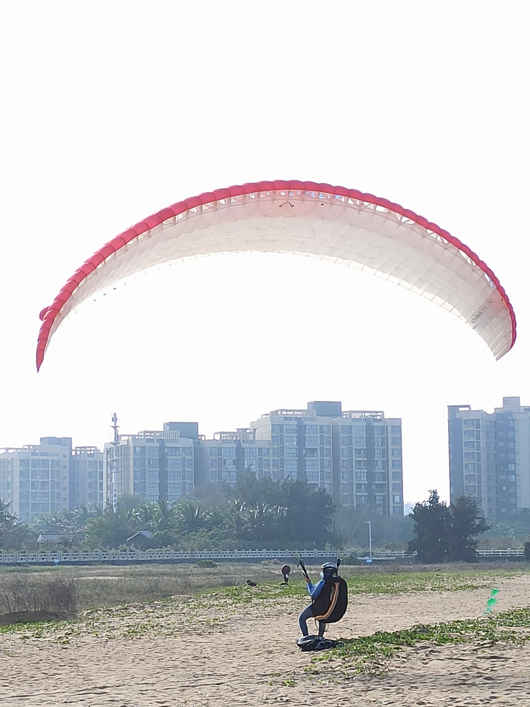 恒大·美丽沙滨海三角梅音乐广场旅行图片 3