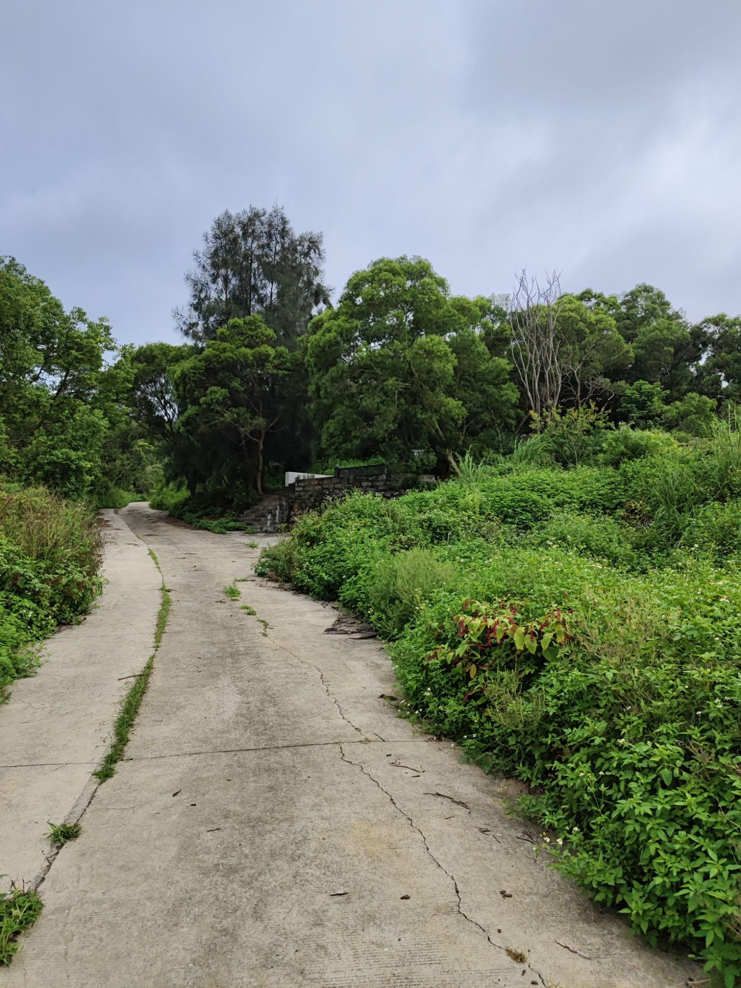 壳丘头遗址旅行图片 1