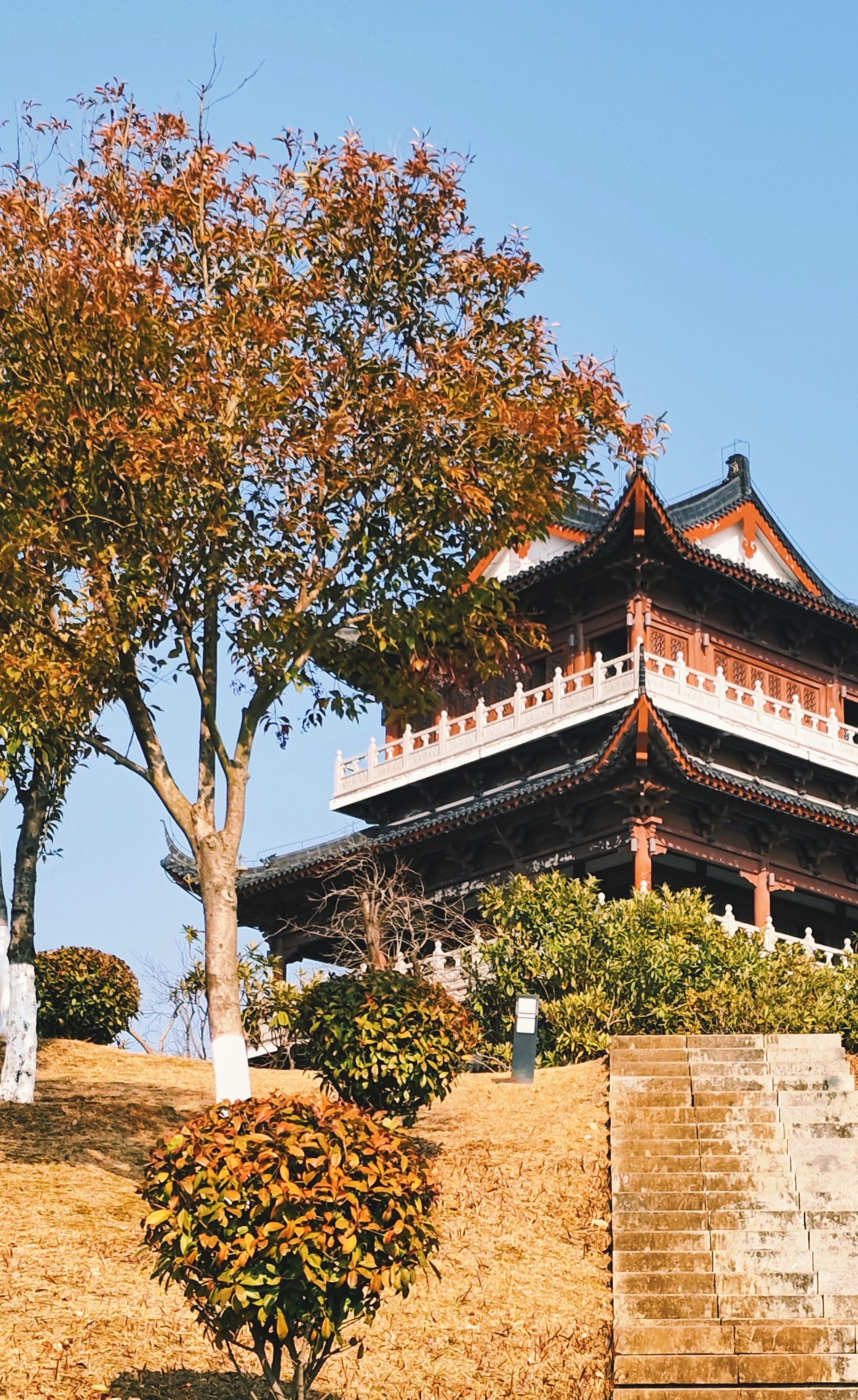 凌云山公园旅行图片 3