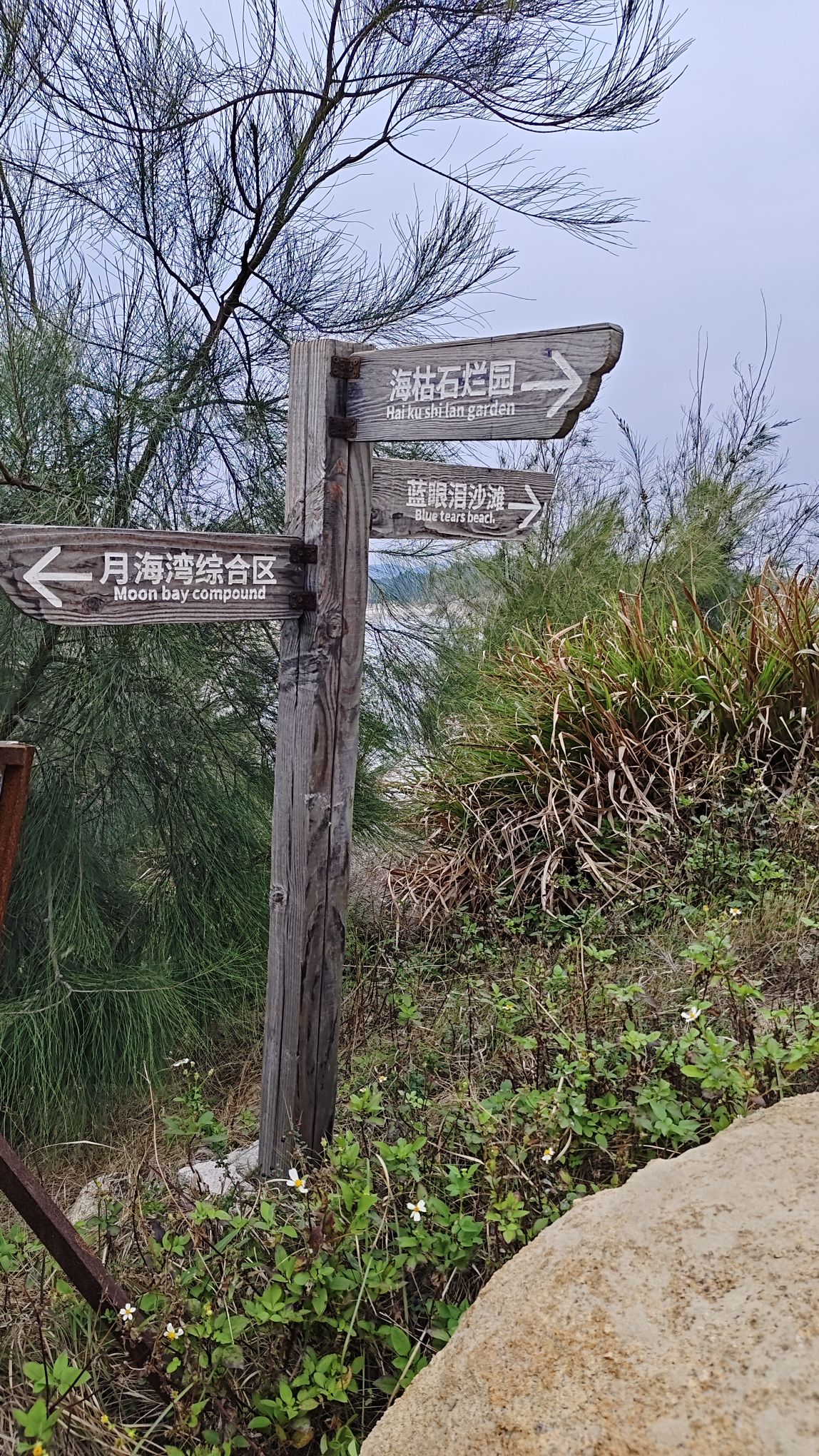 北奥沙滩旅行图片 1