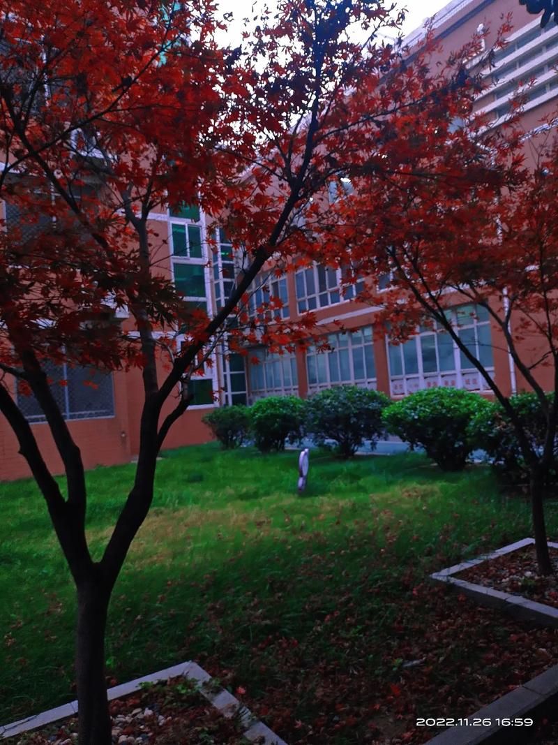南阳市第一中学校(黄河路校区)