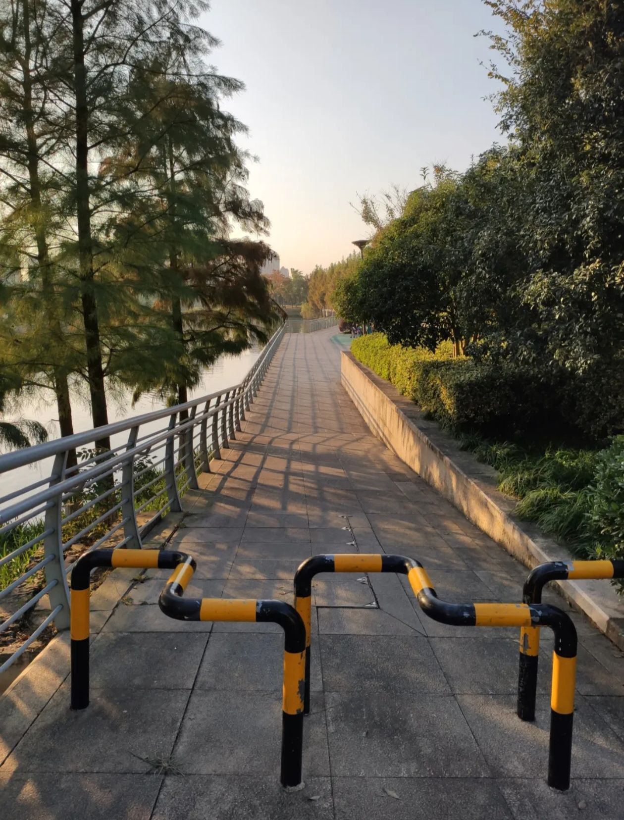 新典公园旅行图片 3