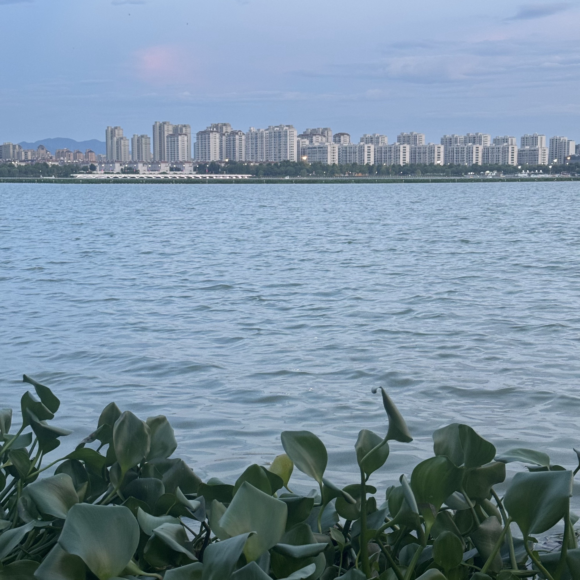 湖海塘公园旅行图片 3