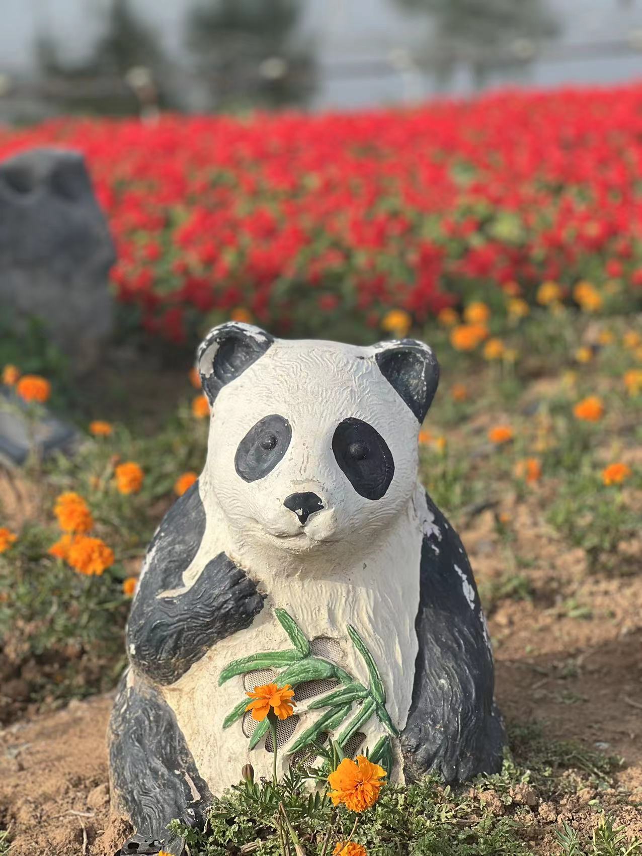 十里花廊旅行图片 1