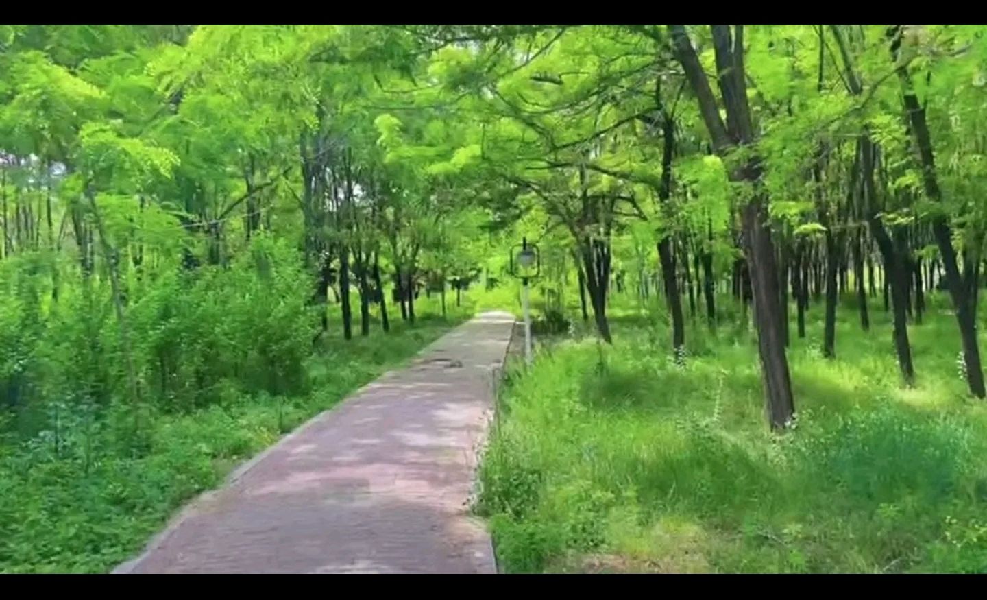 洺州植物公园旅行图片 3