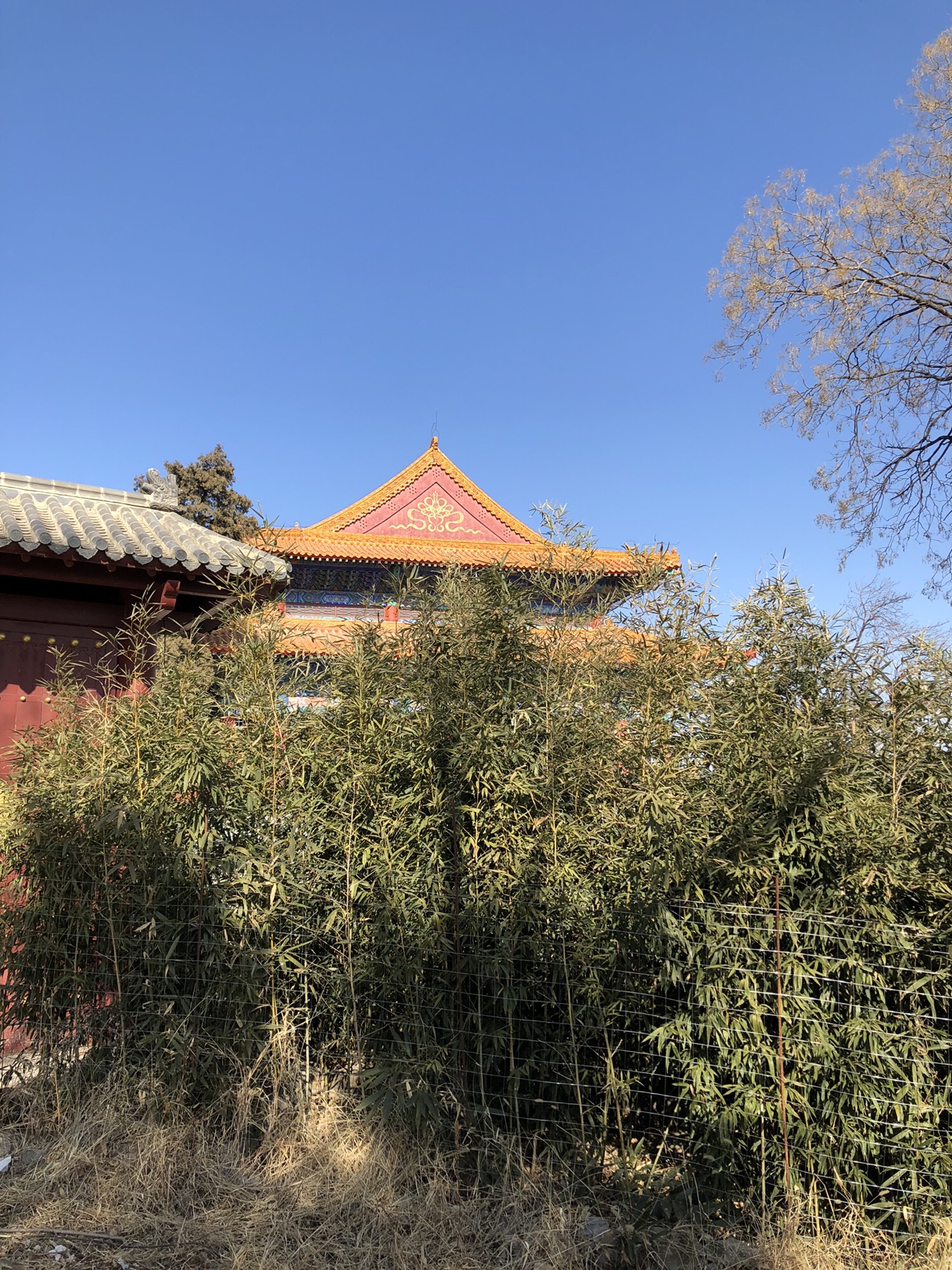 涞水灵泉寺