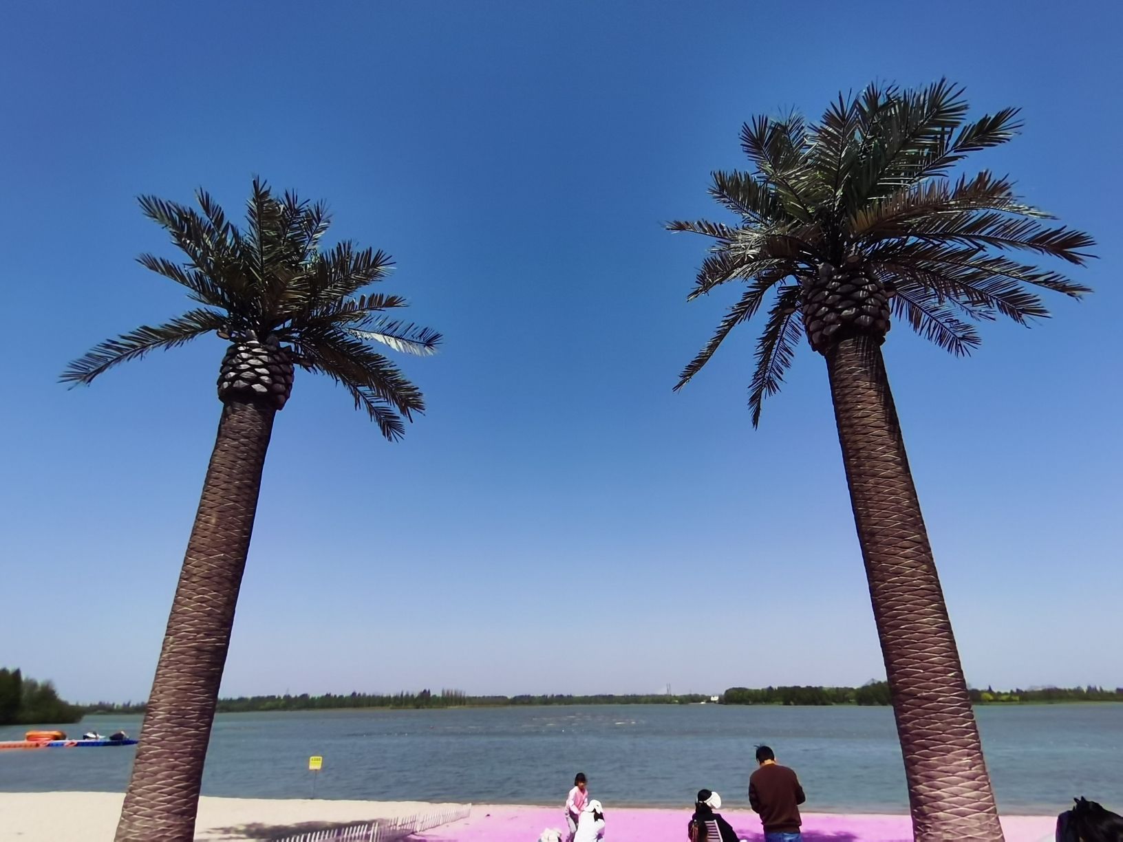 固城湖水慢城旅行图片 2