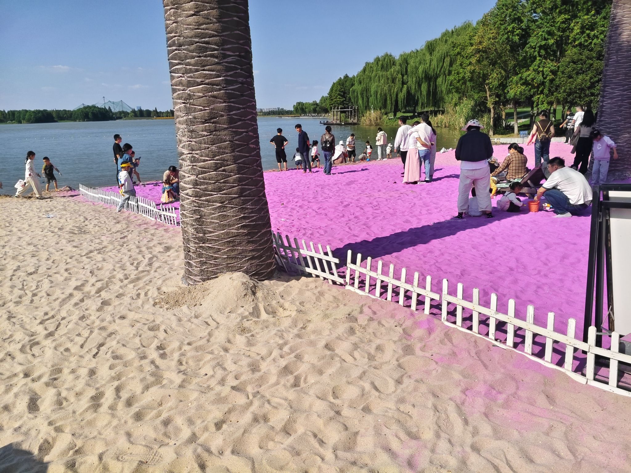 固城湖水慢城旅行图片 3