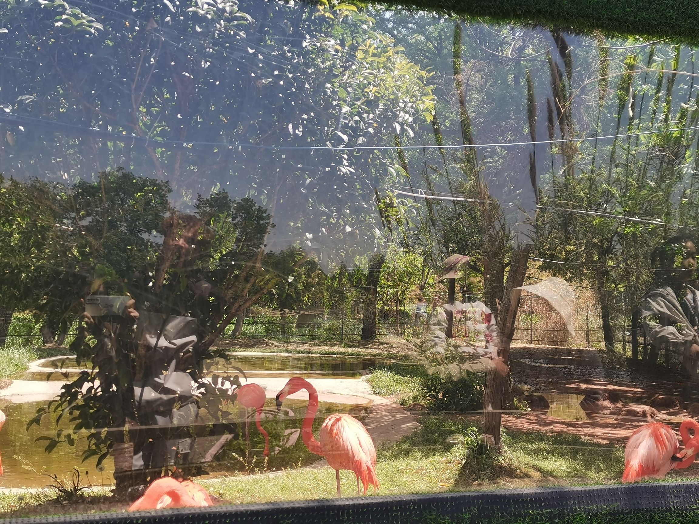 固城湖水慢城旅行图片 3