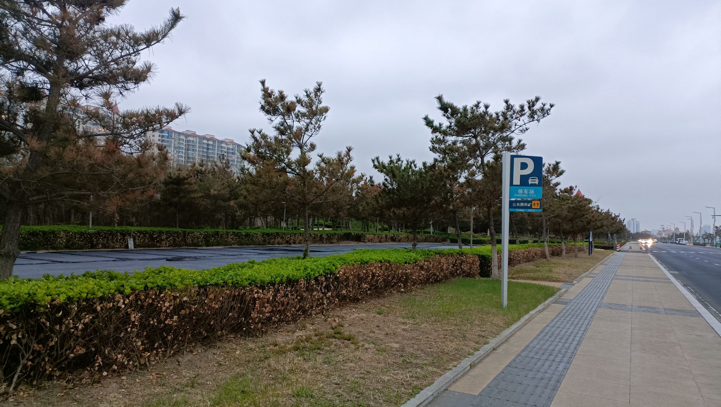 梦幻海湾旅行图片 3