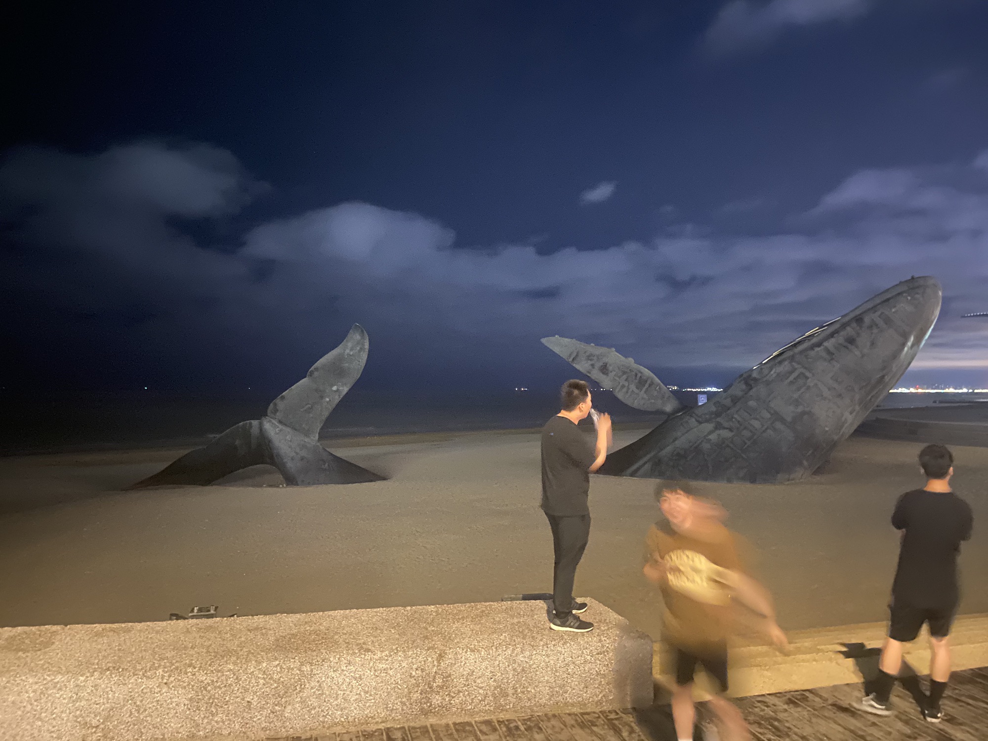梦幻海湾旅行图片 1