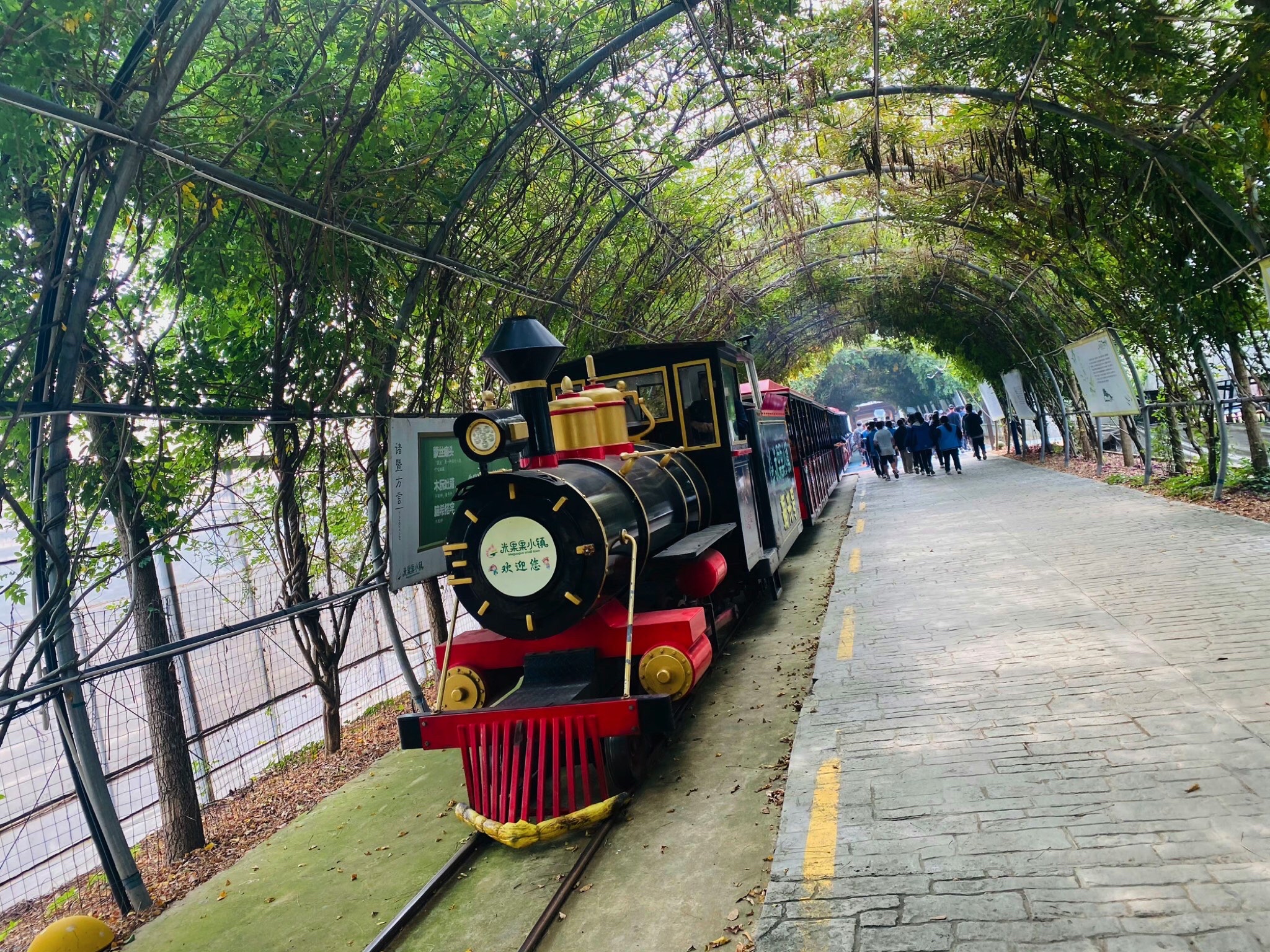 米果果小镇旅行图片 1