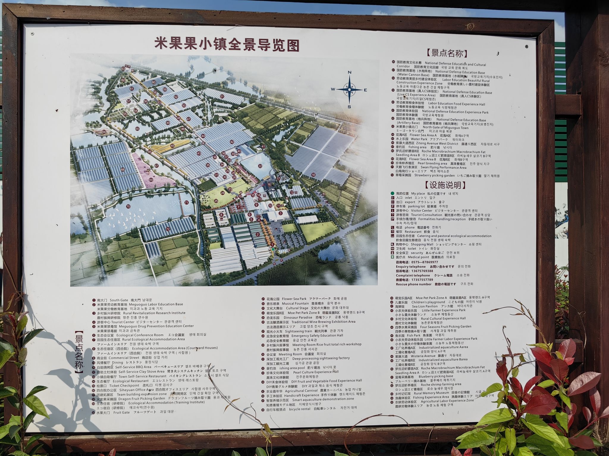 米果果小镇旅行图片 1