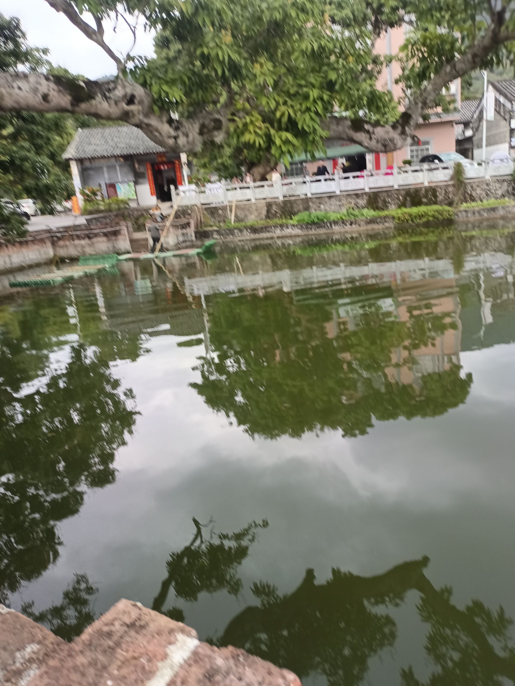 北流市民乐镇萝村古村落景区旅行图片 1