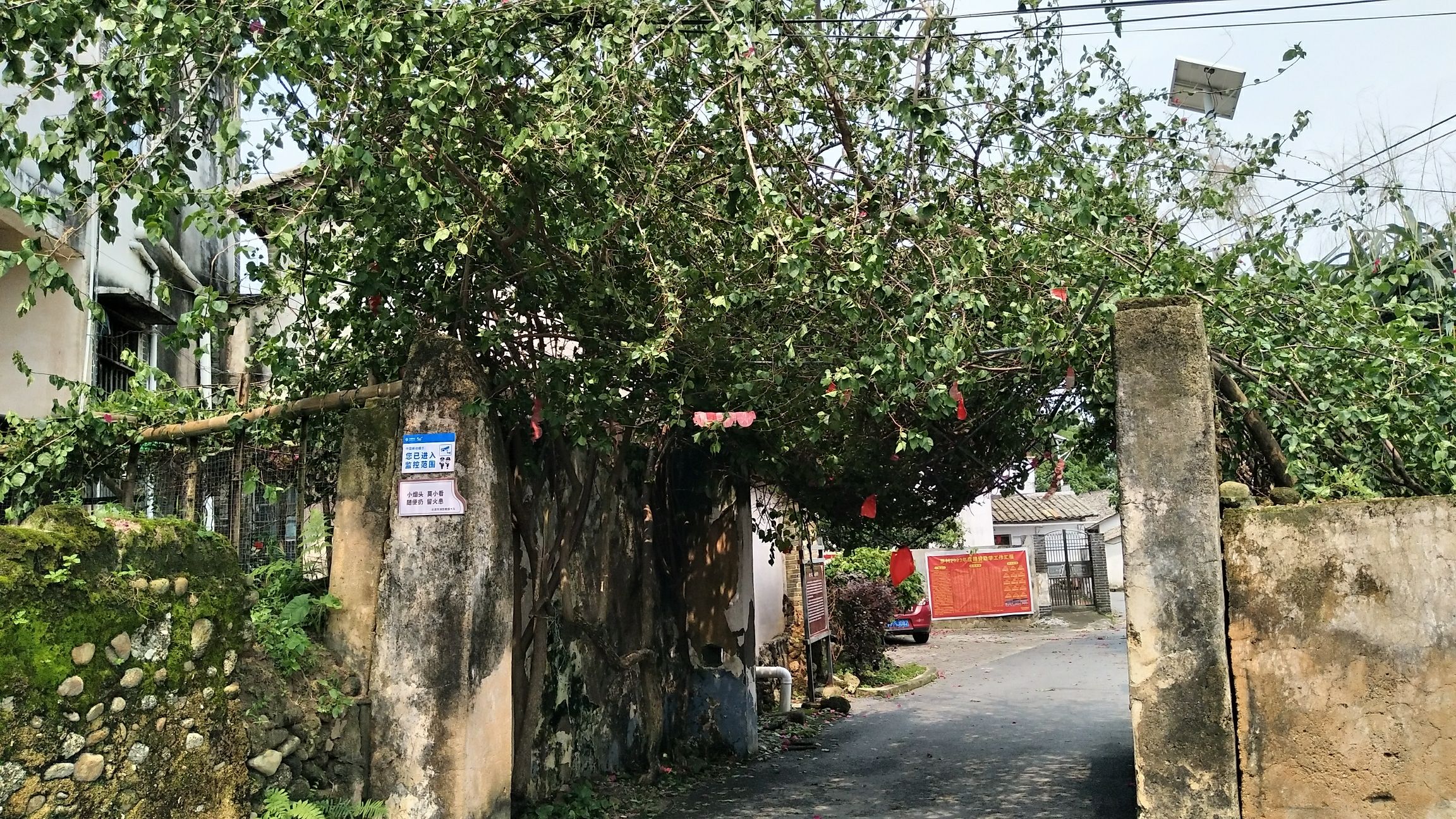 北流市民乐镇萝村古村落景区旅行图片 3