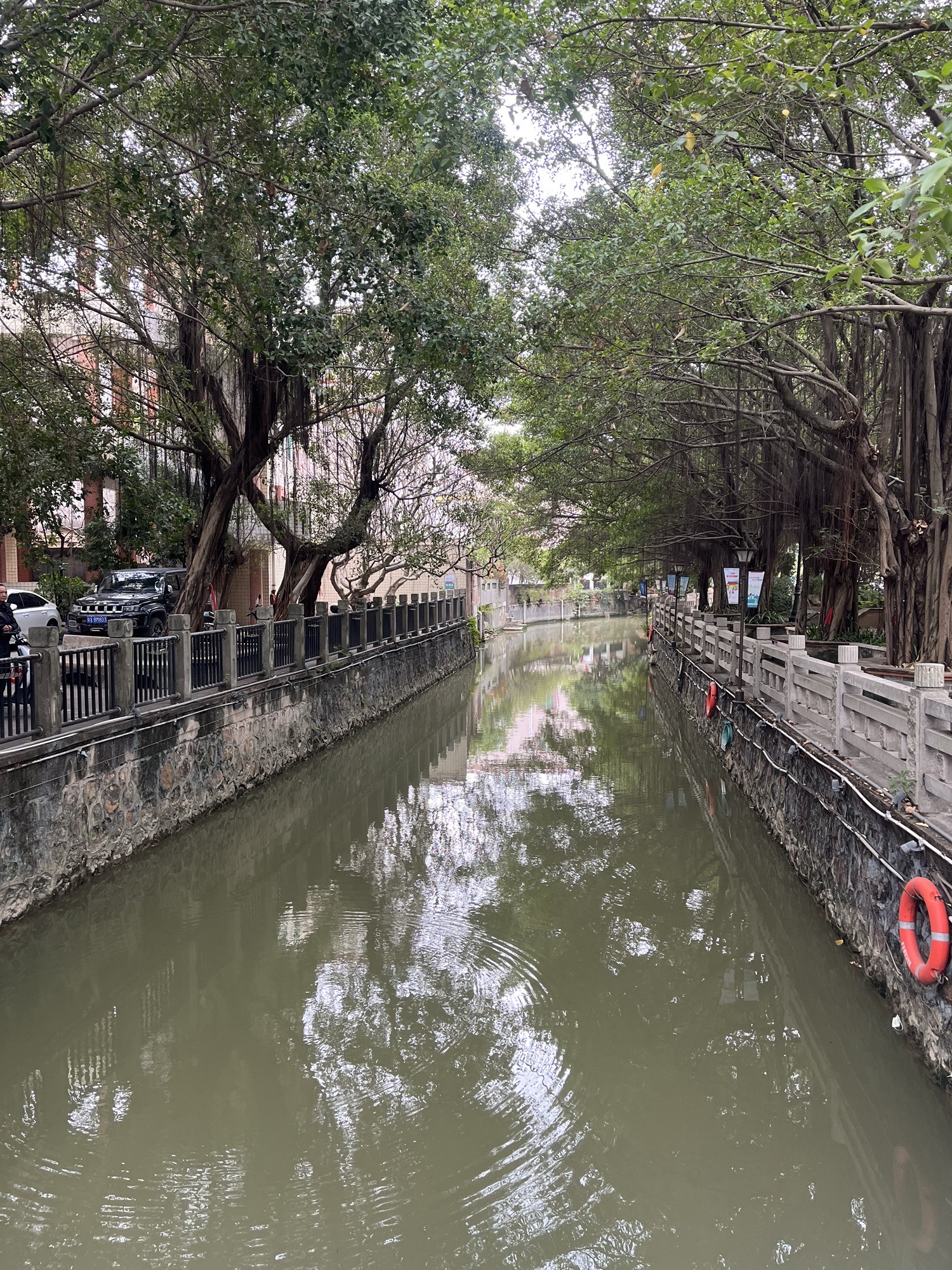 逢简水乡旅行图片 1
