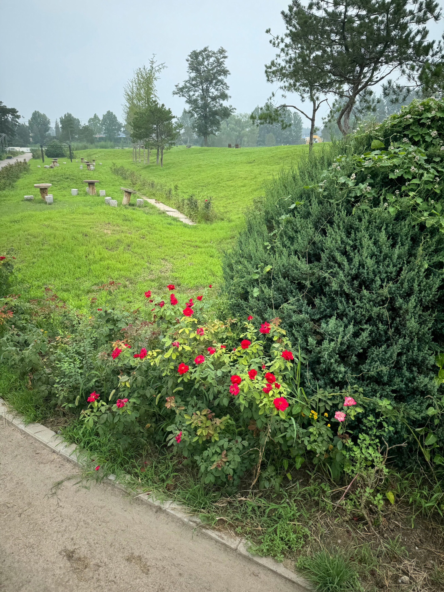 上林公园旅行图片 1