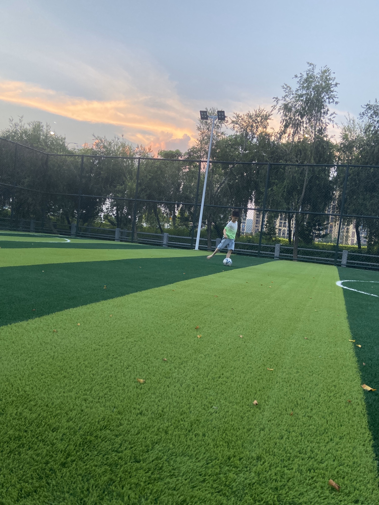 上林公园旅行图片 3