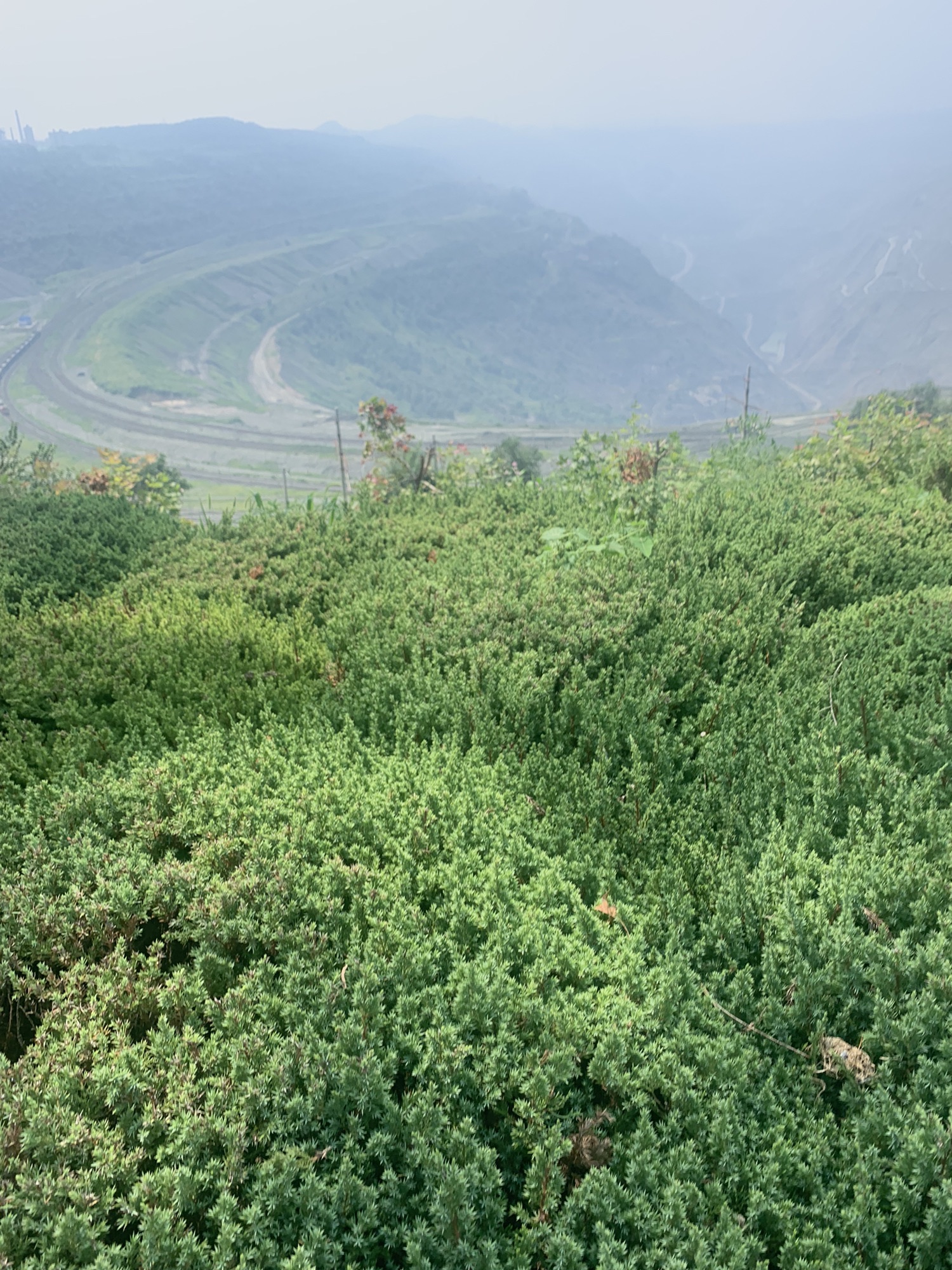东岗观景台旅行图片 3