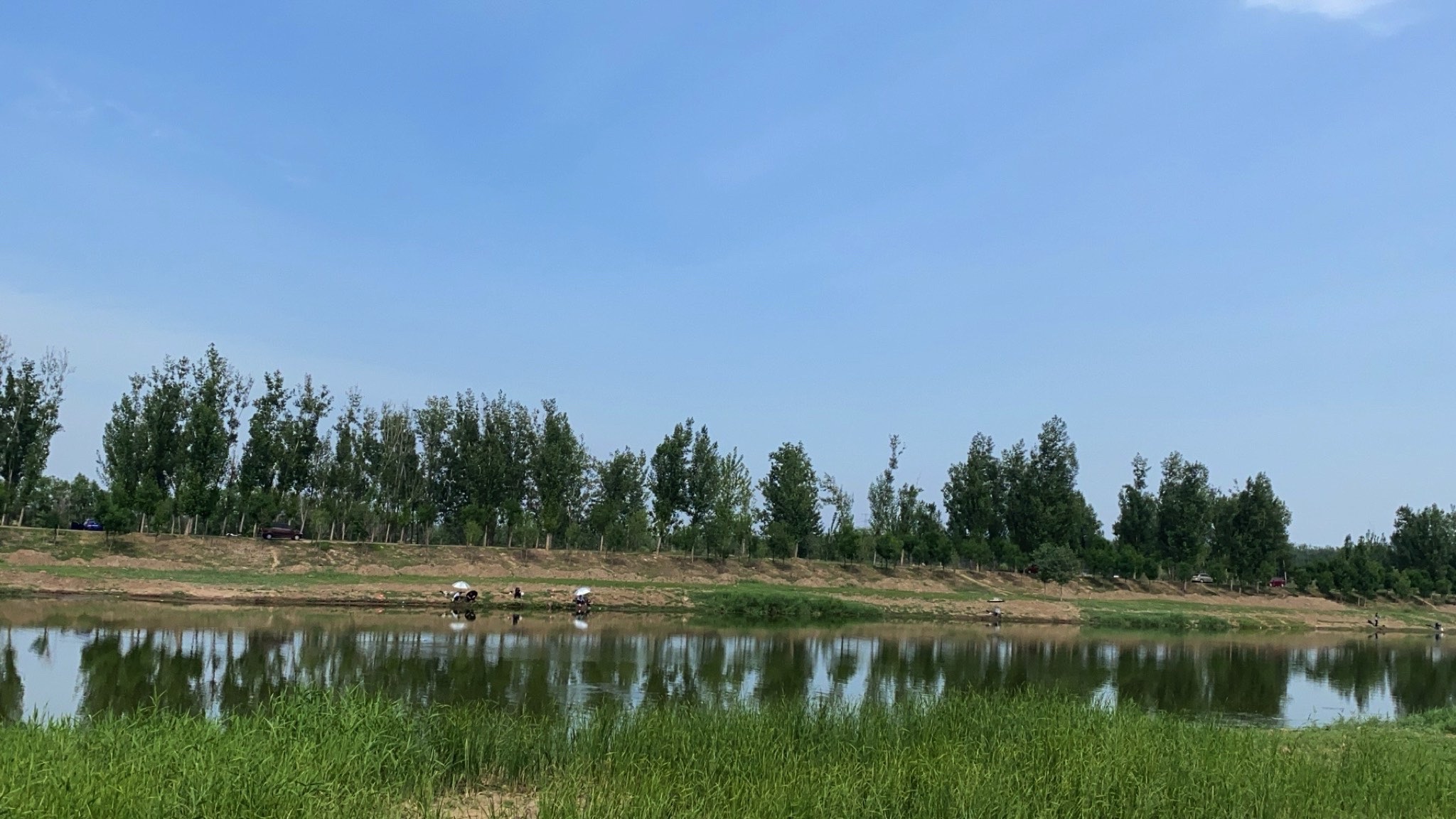 东张务湿地旅行图片 1