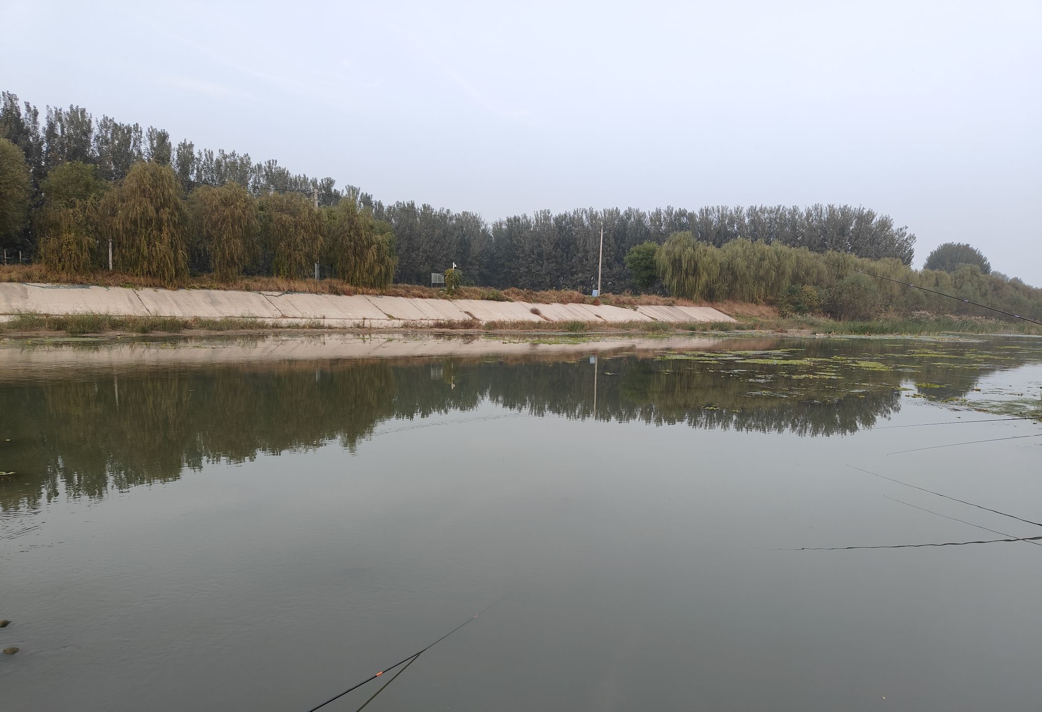 东张务湿地旅行图片 1